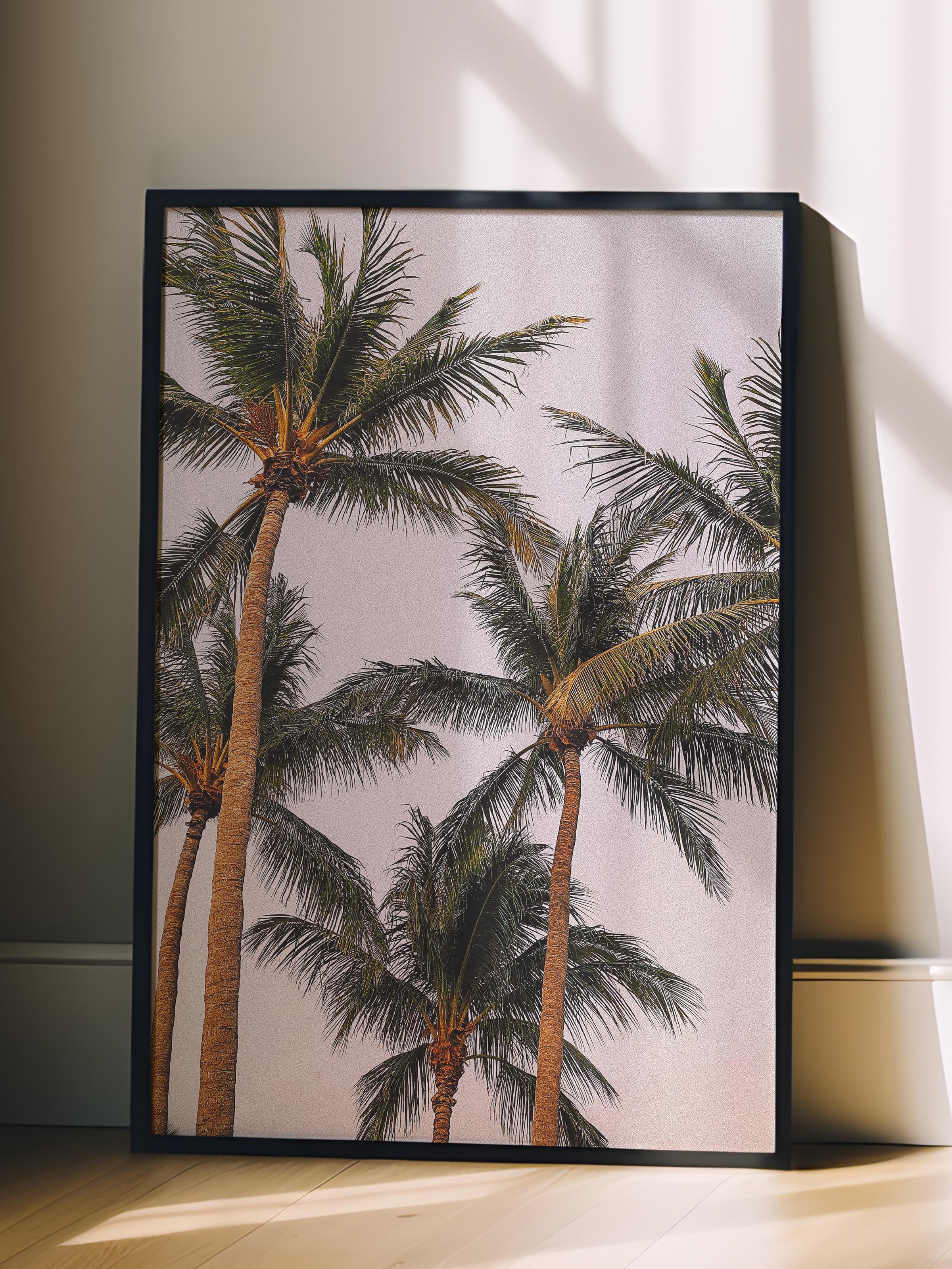 Çerçevesiz Poster, Yaz Temalı Tablo NO:135, Palmiyeler ve Gökyüzü Fotoğrafı, Mavi Poster, Dikey