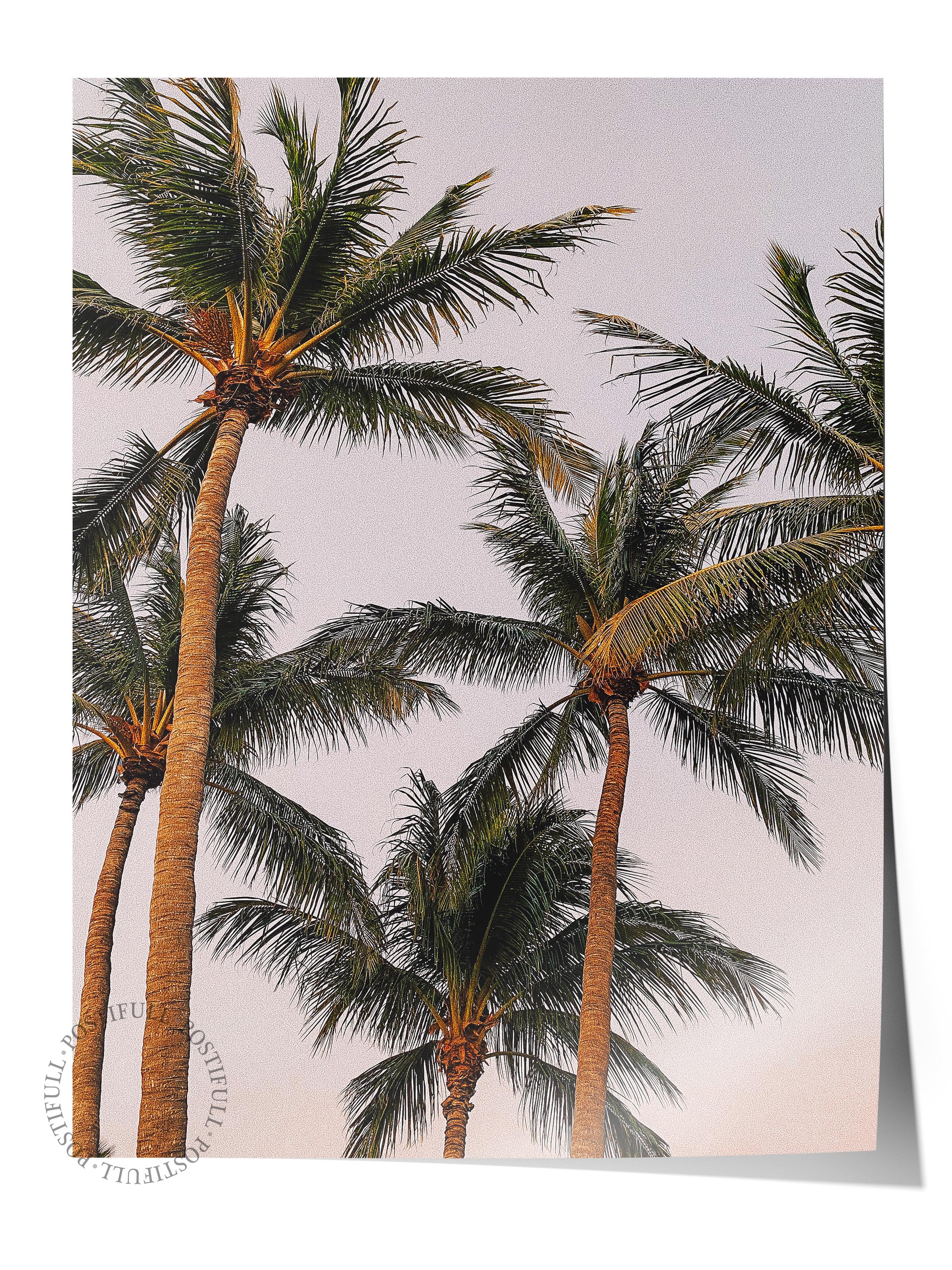 Çerçevesiz Poster, Yaz Temalı Tablo NO:135, Palmiyeler ve Gökyüzü Fotoğrafı, Mavi Poster, Dikey