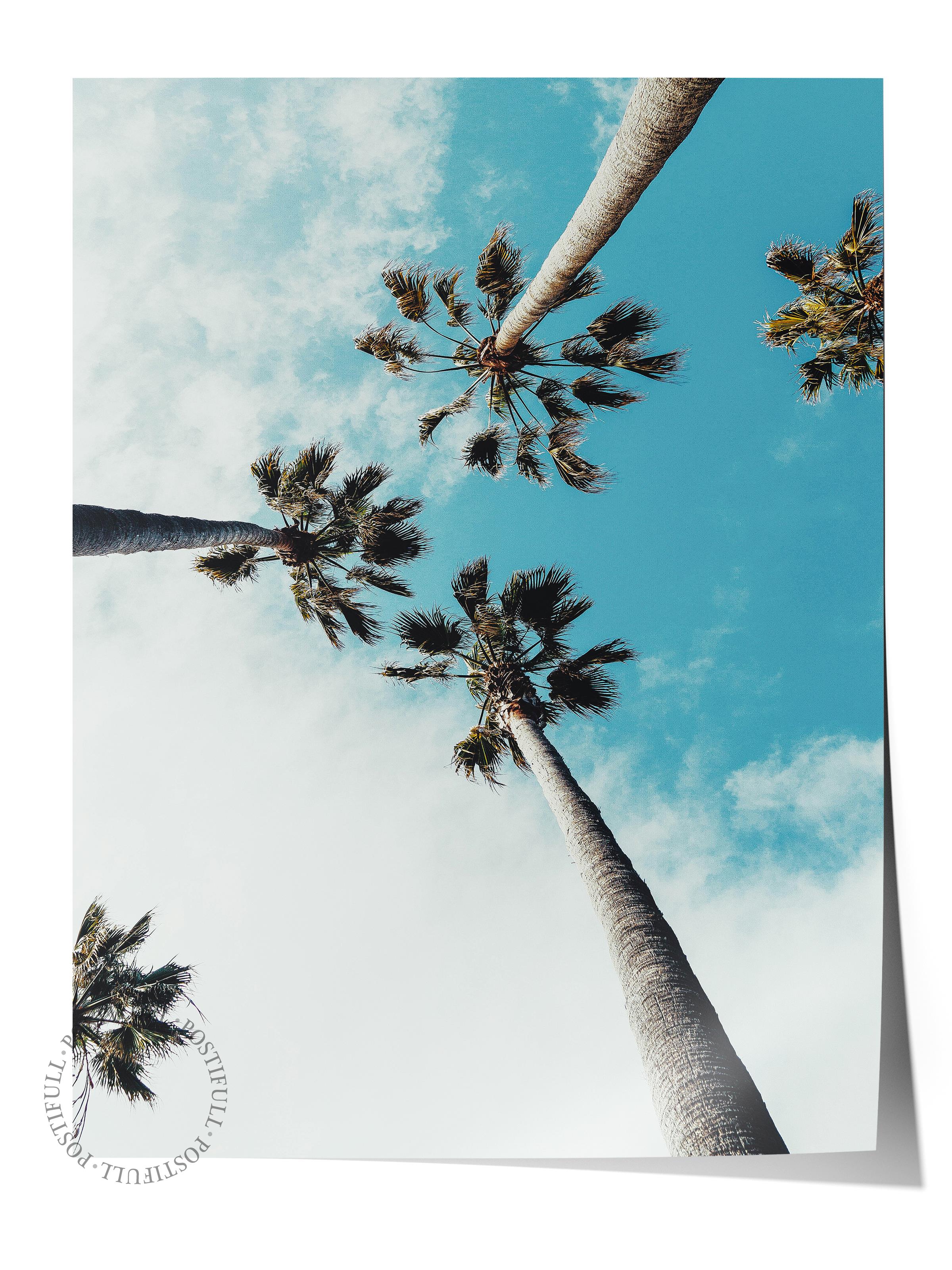 Çerçevesiz Poster, Yaz Temalı Tablo NO:136, Yüksek Palmiyeler Fotoğrafı, Mavi Poster, Dikey