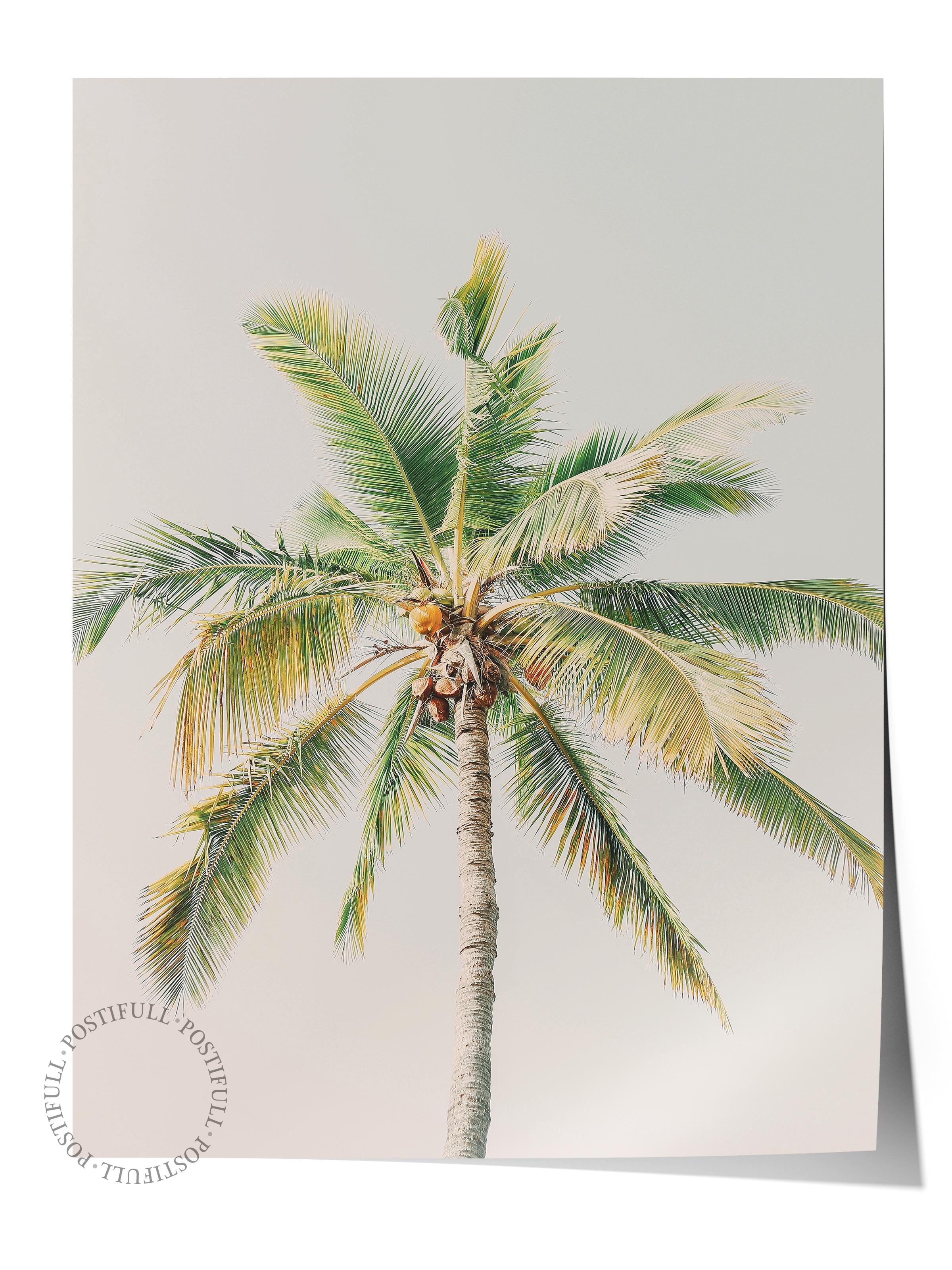 Çerçevesiz Poster, Yaz Temalı Tablo NO:140, Yalnız Palmiye Fotoğrafı, Yeşil Poster, Dikey