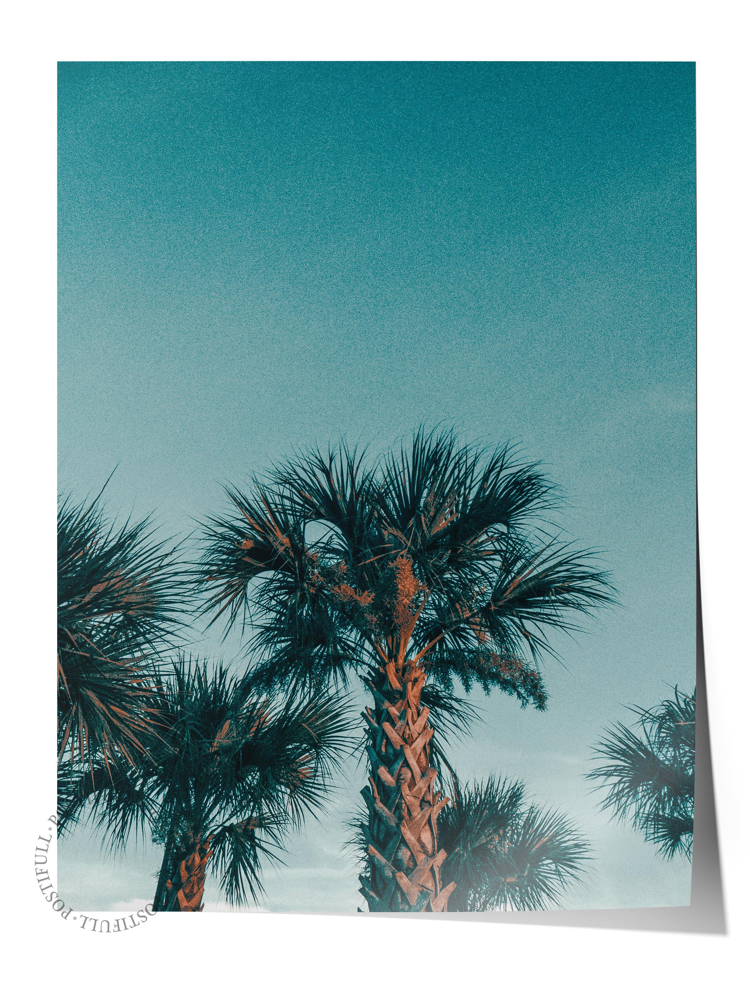 Çerçevesiz Poster, Yaz Temalı Tablo NO:163, Palmiyeler Fotoğrafı, Mavi Poster, Dikey