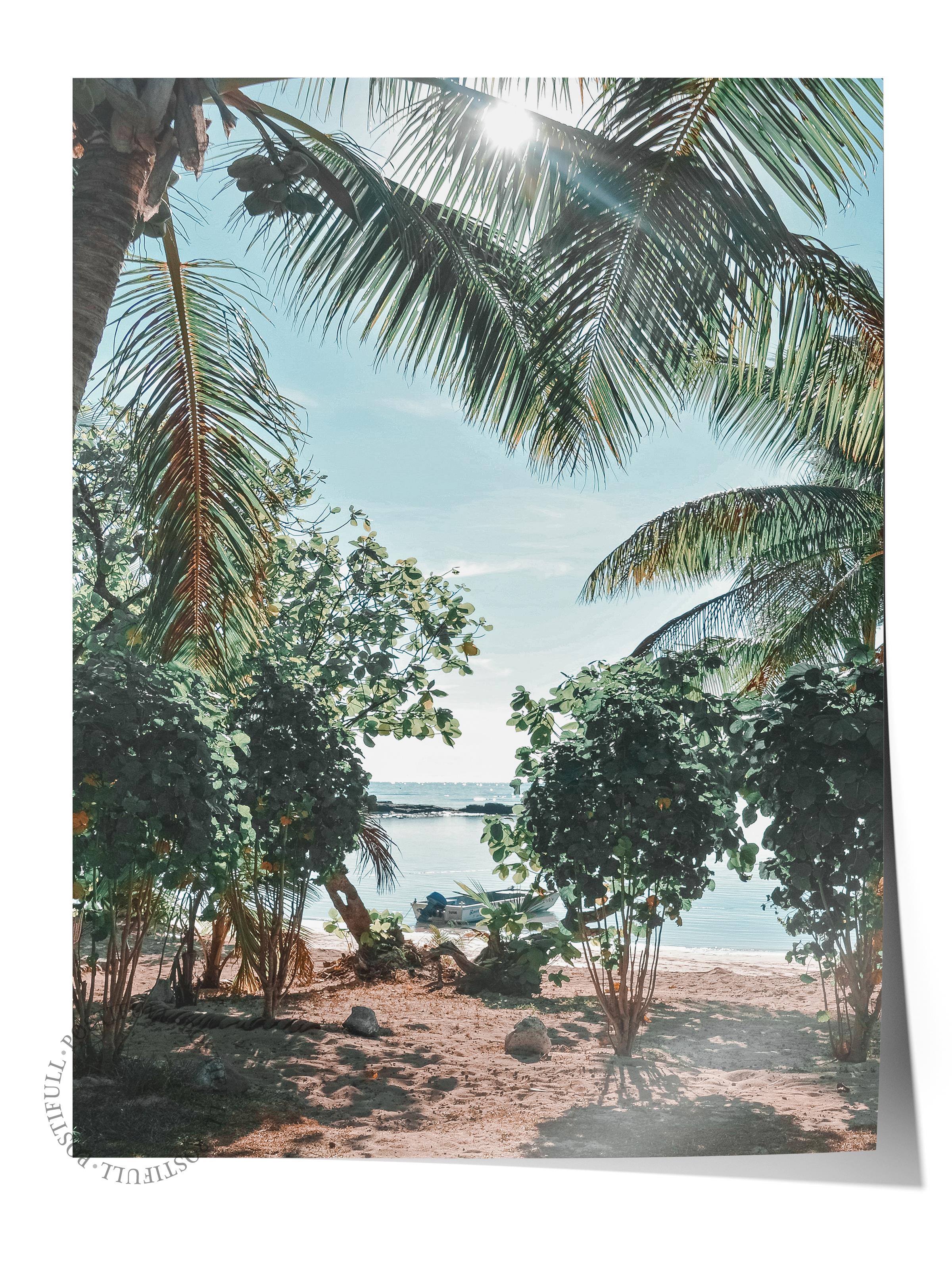 Çerçevesiz Poster, Yaz Temalı Tablo NO:172, Palmiye Manzarası Fotoğrafı, Yeşil Poster, Dikey