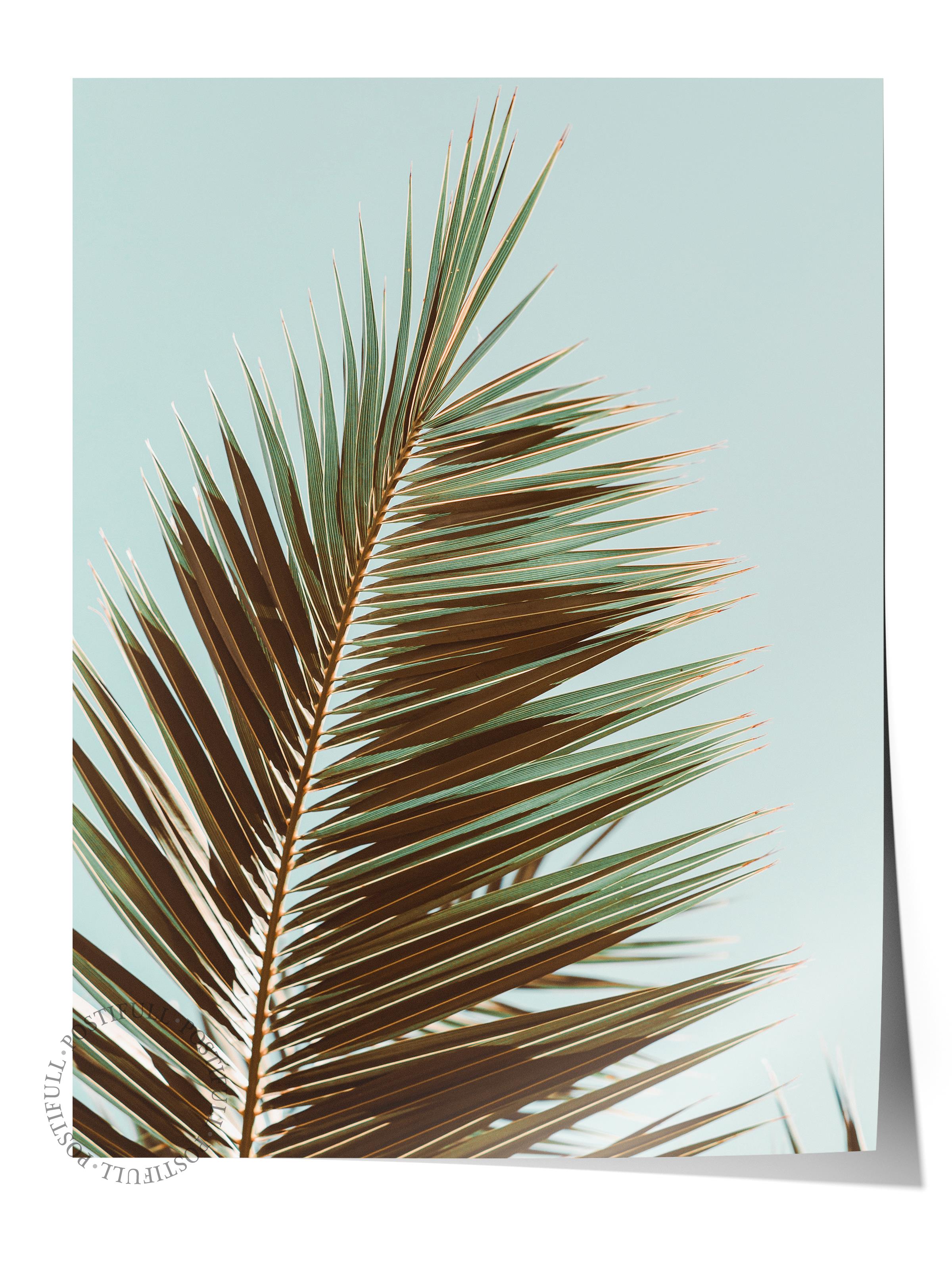 Çerçevesiz Poster, Yaz Temalı Tablo NO:201, Palmiye Yaprağı Fotoğrafı, Yeşil Poster, Dikey