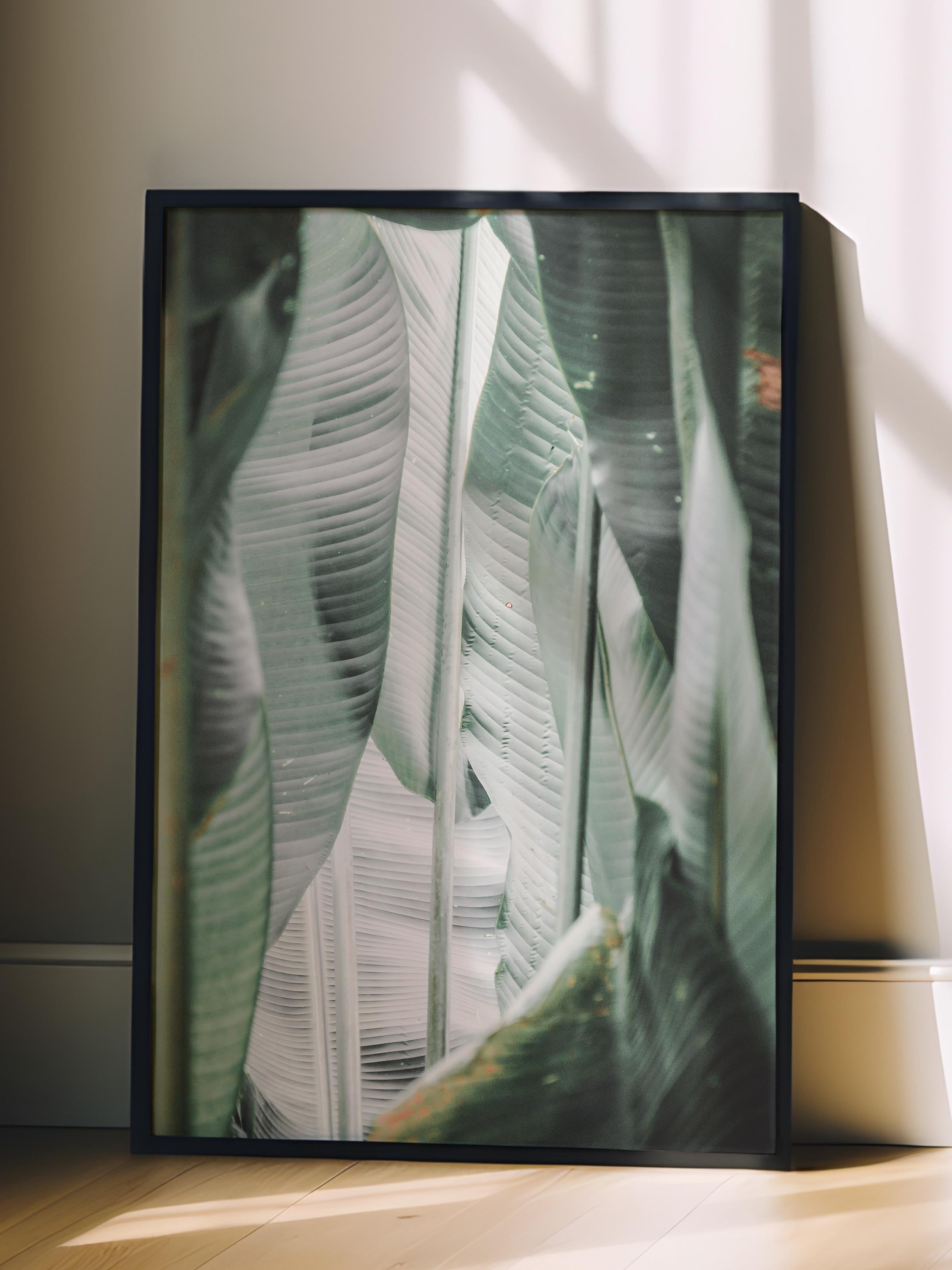 Çerçevesiz Poster, Yaz Temalı Tablo NO:207, Tropik Yapraklar Fotoğrafı, Yeşil Poster, Dikey