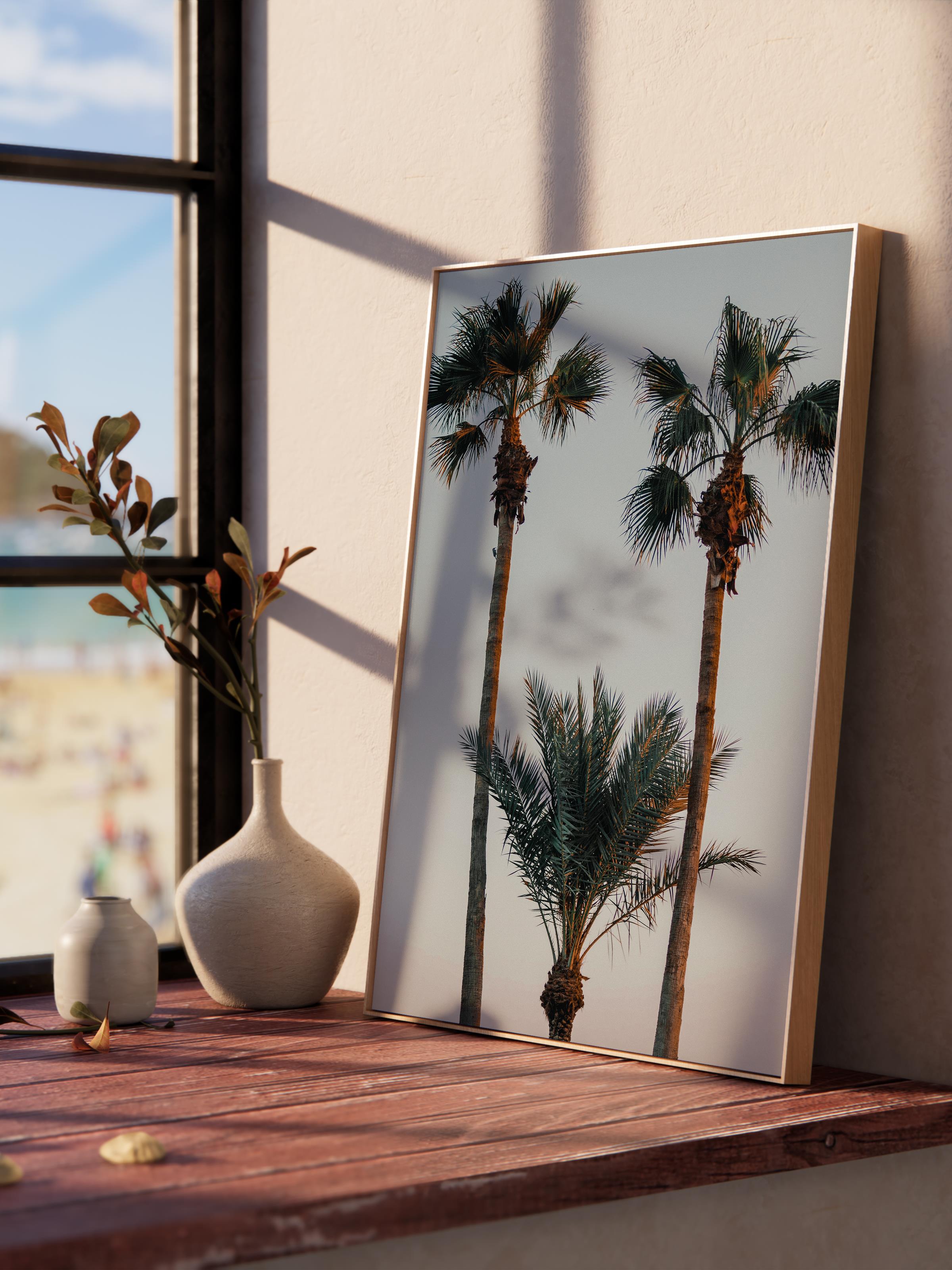 Çerçevesiz Poster, Yaz Temalı Tablo NO:208, Palmiye Ağaçları Fotoğrafı, Kahverengi Poster, Dikey