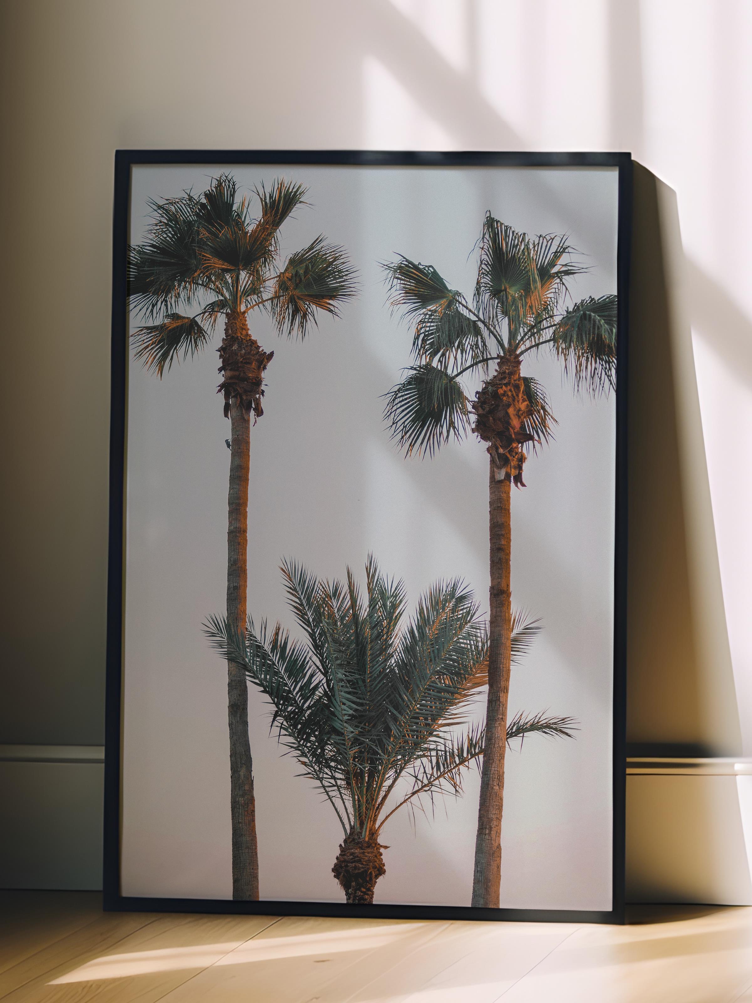 Çerçevesiz Poster, Yaz Temalı Tablo NO:208, Palmiye Ağaçları Fotoğrafı, Kahverengi Poster, Dikey