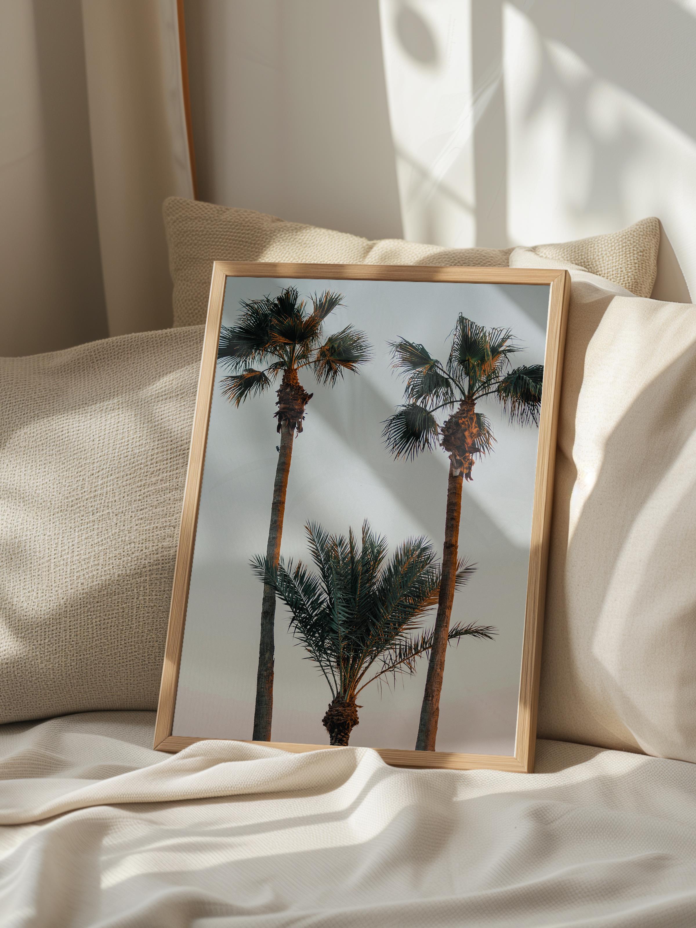 Çerçevesiz Poster, Yaz Temalı Tablo NO:208, Palmiye Ağaçları Fotoğrafı, Kahverengi Poster, Dikey