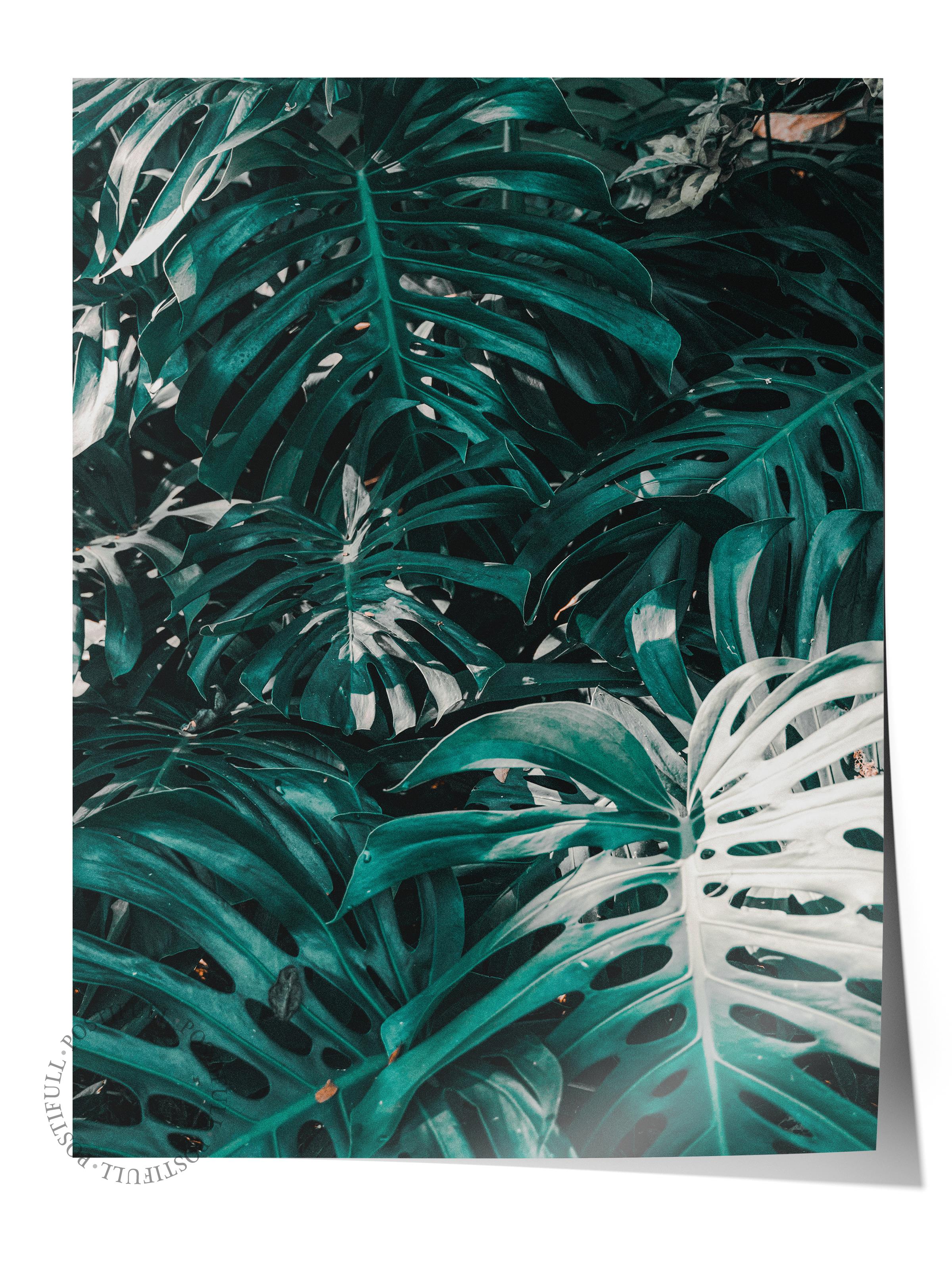 Çerçevesiz Poster, Yaz Temalı Tablo NO:210, Tropikal Yapraklar Fotoğrafı, Koyu Yeşil Poster, Dikey