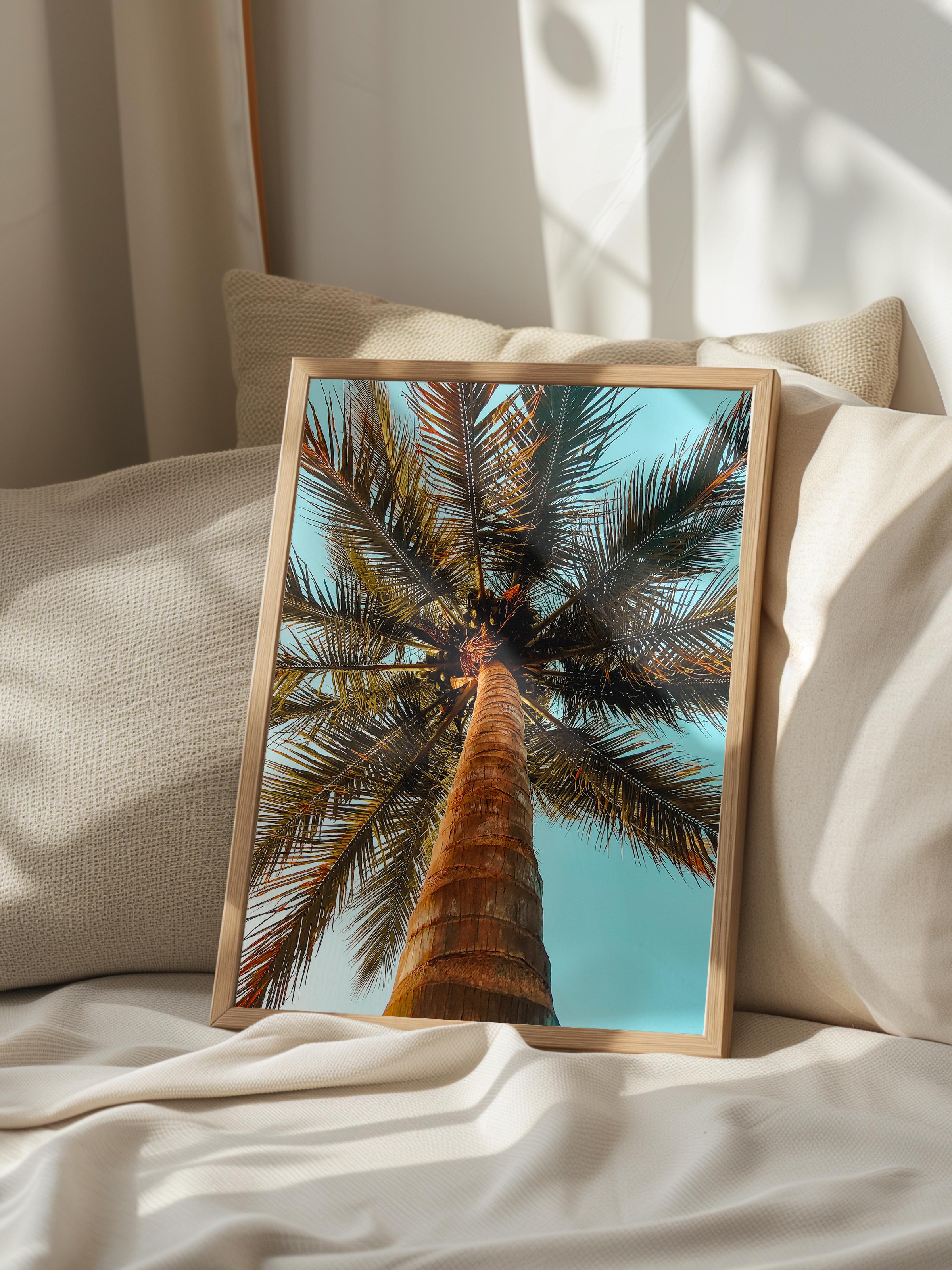 Çerçevesiz Poster, Yaz Temalı Tablo NO:211, Yüksek Palmiye Ağacı Fotoğrafı, Yeşil Poster, Dikey