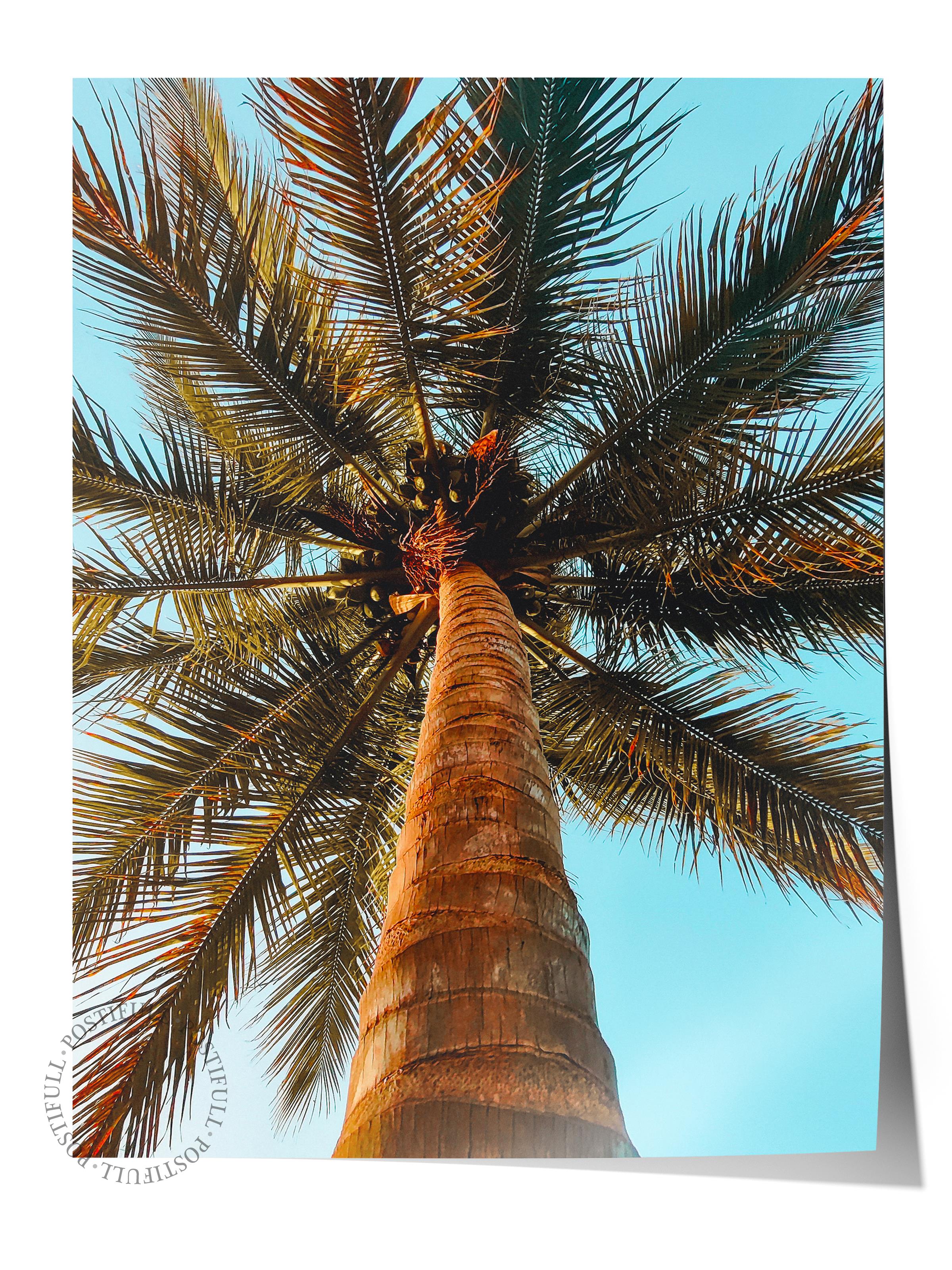 Çerçevesiz Poster, Yaz Temalı Tablo NO:211, Yüksek Palmiye Ağacı Fotoğrafı, Yeşil Poster, Dikey