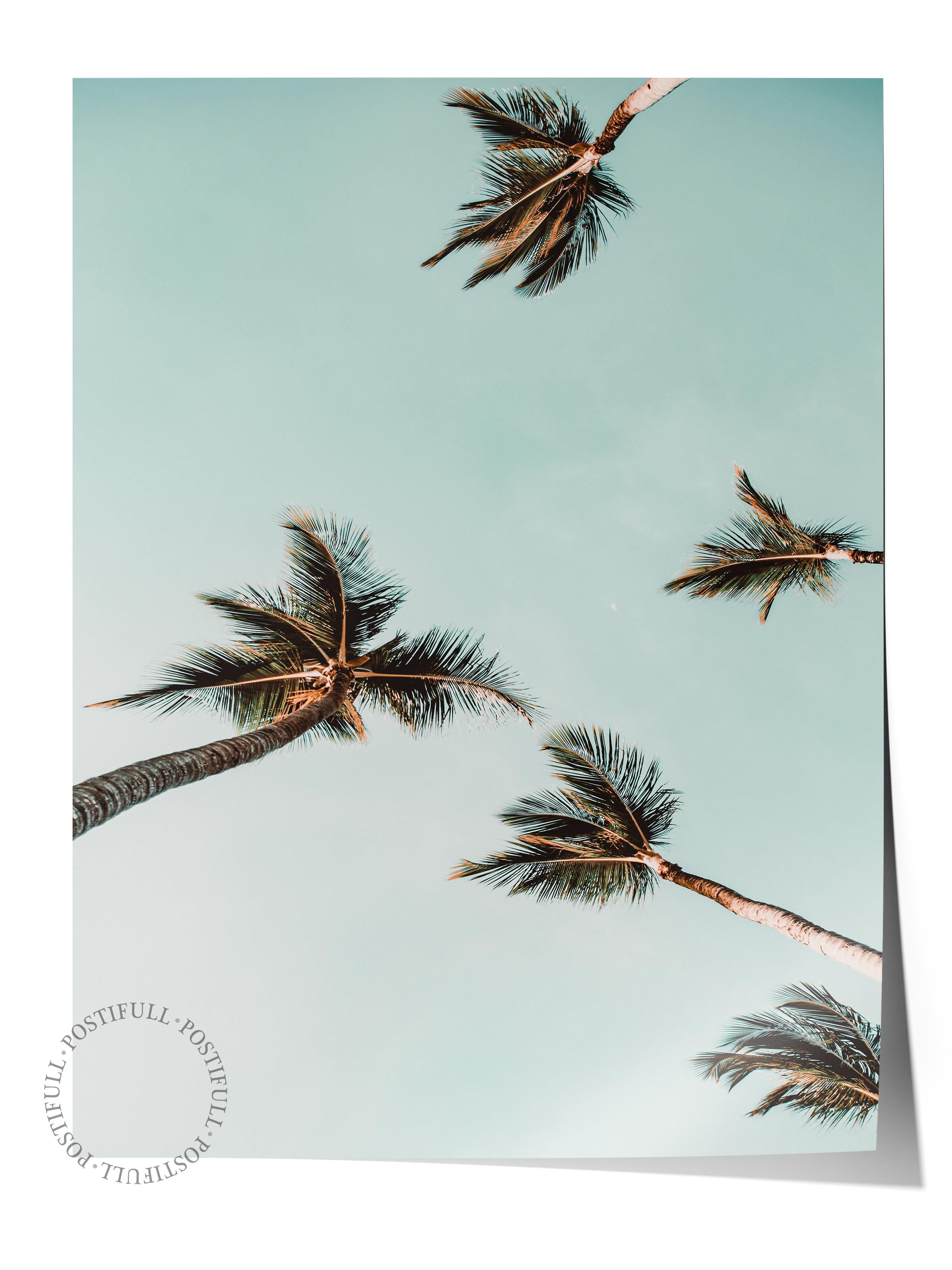 Çerçevesiz Poster, Yaz Temalı Tablo NO:214, Uçan Palmiye Ağaçları Fotoğrafı, Mavi Poster, Dikey