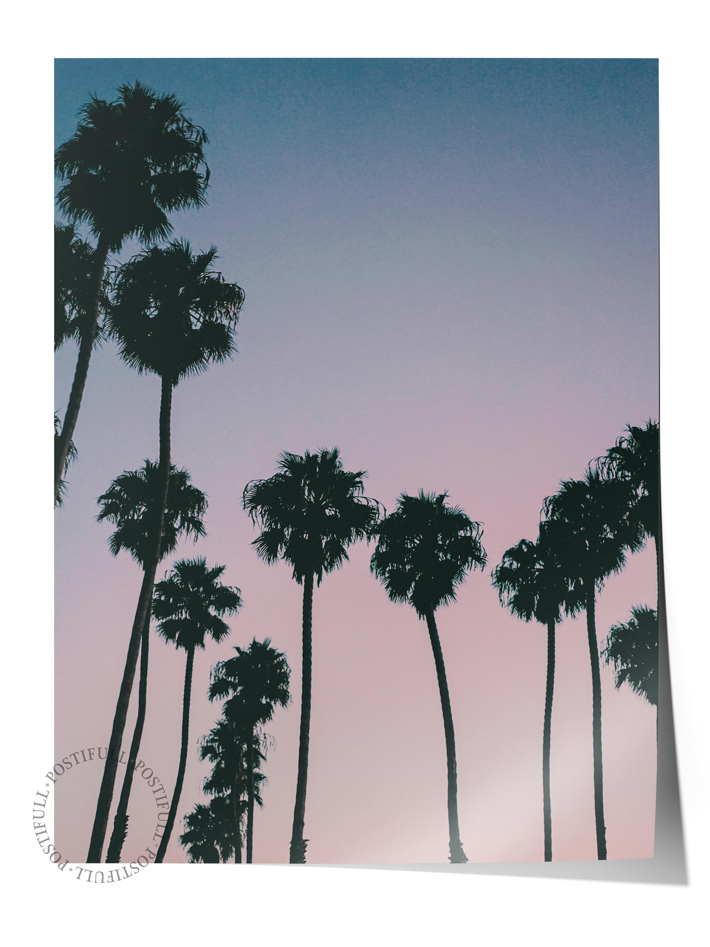 Çerçevesiz Poster, Yaz Temalı Tablo NO:243, Palmiye Ağaçları Fotoğrafı, Pembe Poster, Dikey