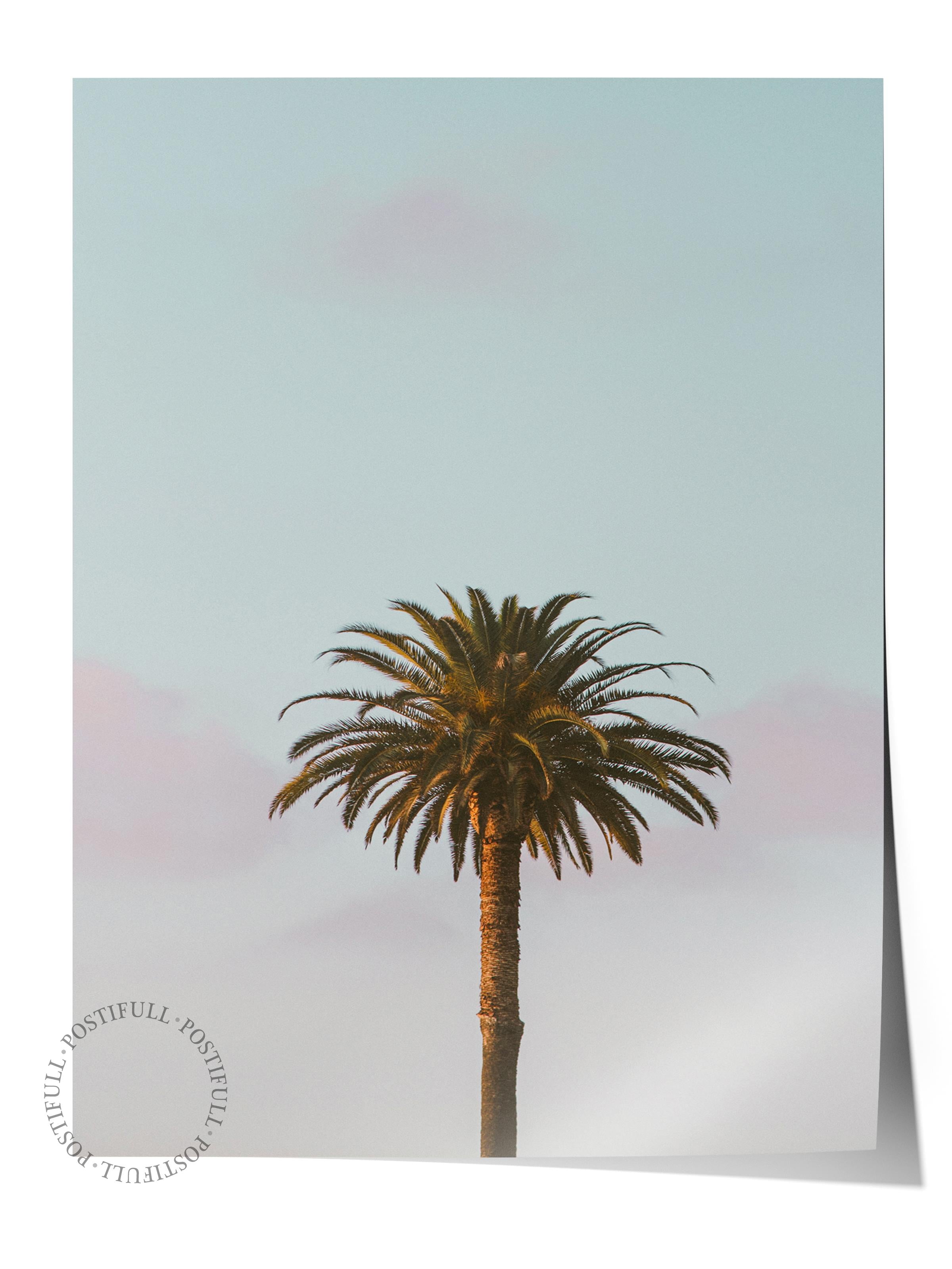 Çerçevesiz Poster, Yaz Temalı Tablo NO:256, Tek Palmiye Fotoğrafı, Yeşil Poster, Dikey