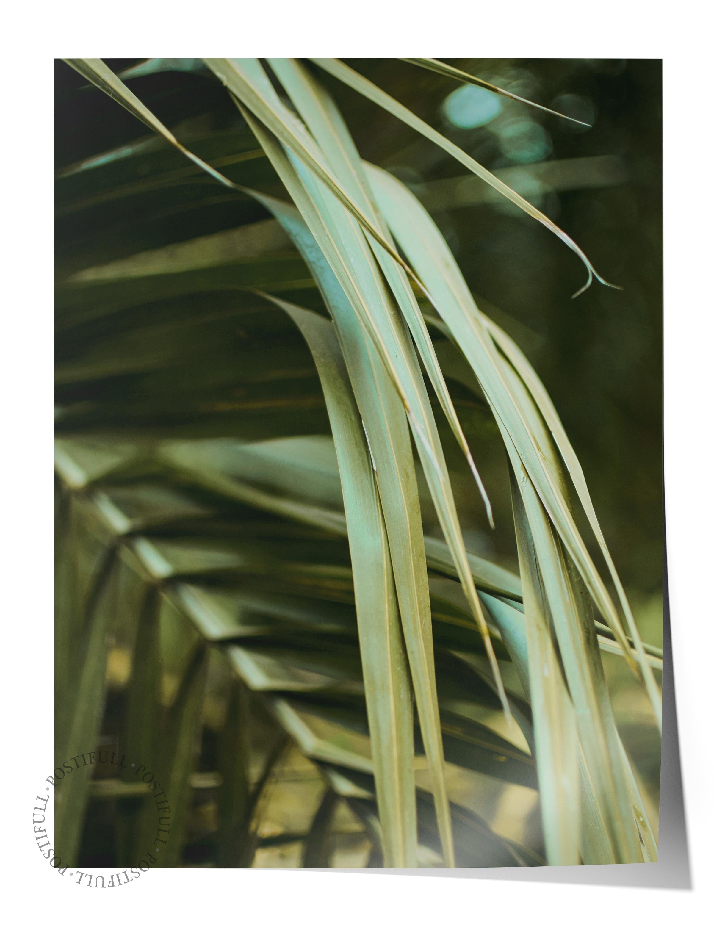 Çerçevesiz Poster, Yaz Temalı Tablo NO:65, Yeşil Yaprak Detayı Fotoğrafı, Yeşil Poster, Dikey