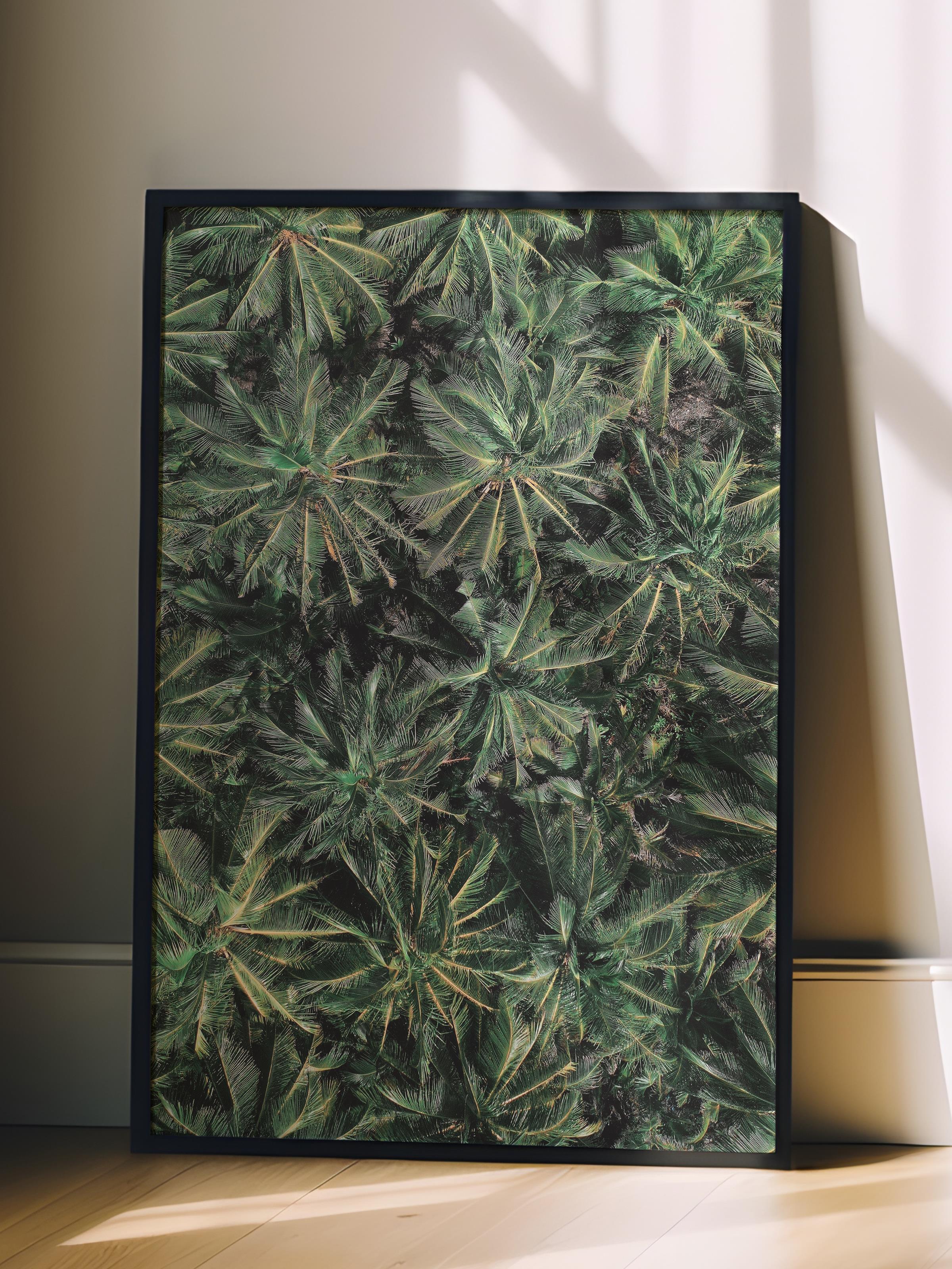 Çerçevesiz Poster, Yaz Temalı Tablo NO:67, Palmiye Ormanı Fotoğrafı, Yeşil Poster, Dikey
