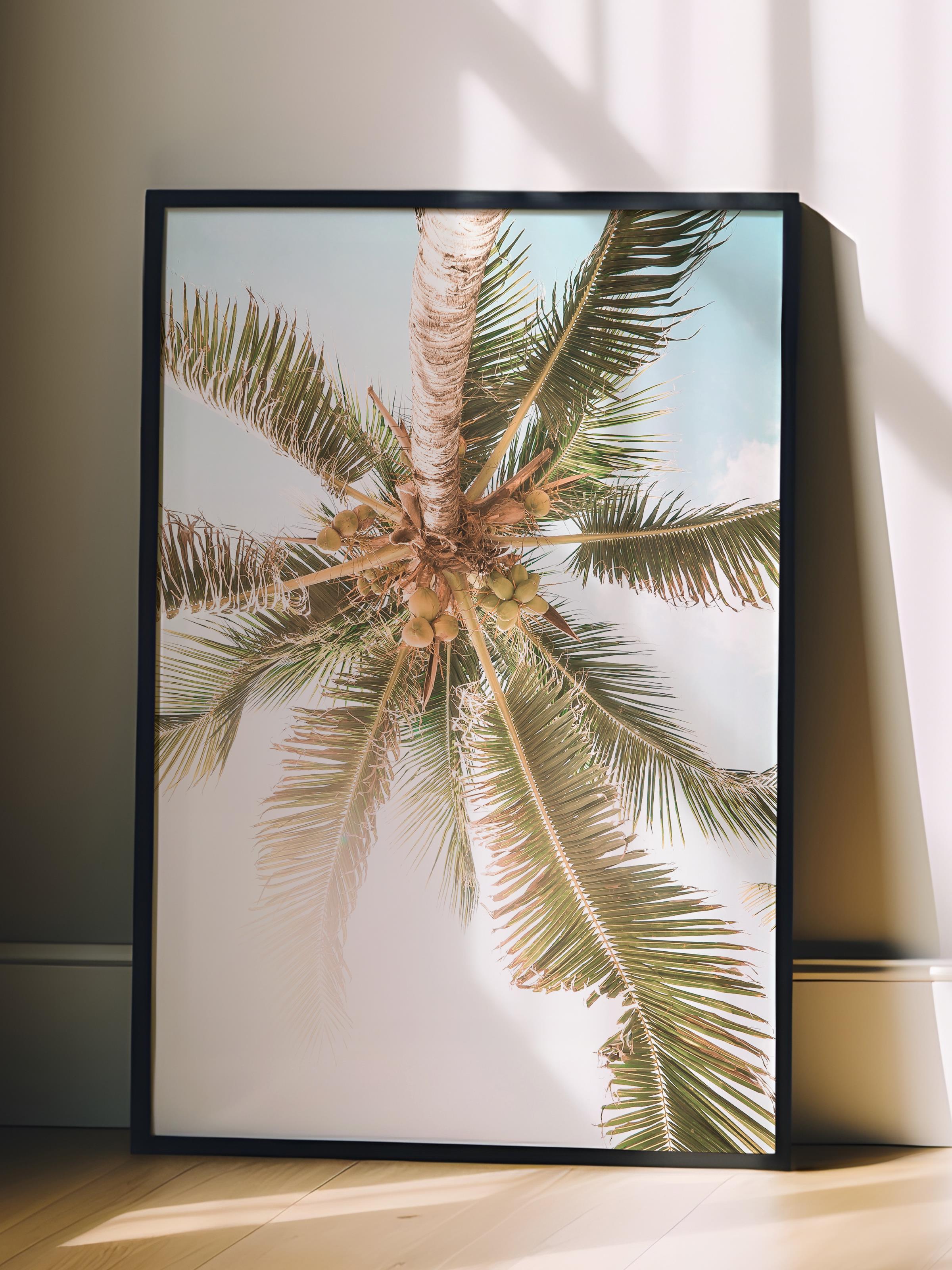 Çerçevesiz Poster, Yaz Temalı Tablo NO:96, Palmiyeler ve Gökyüzü Fotoğrafı, Beyaz Poster, Dikey