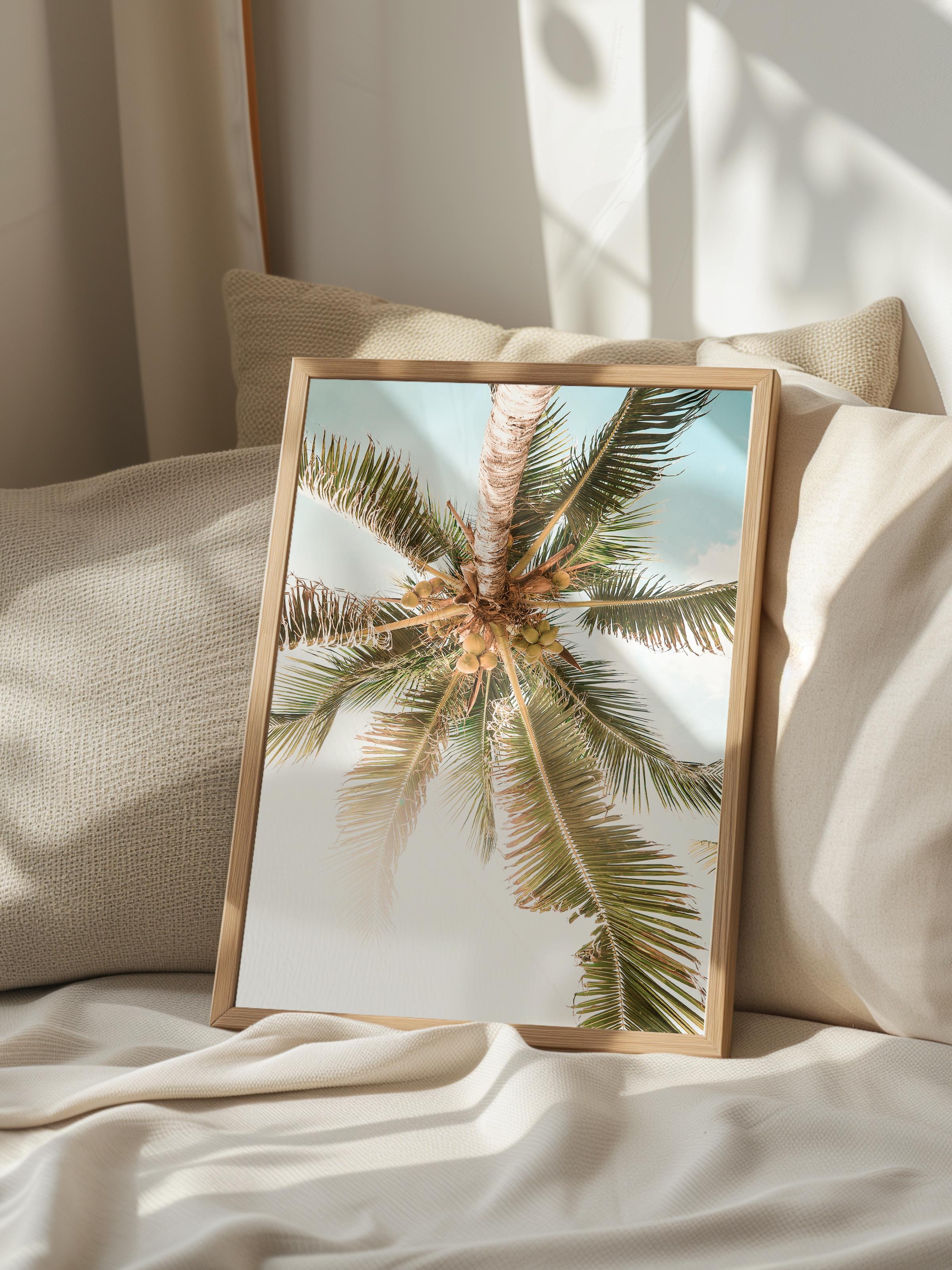 Çerçevesiz Poster, Yaz Temalı Tablo NO:96, Palmiyeler ve Gökyüzü Fotoğrafı, Beyaz Poster, Dikey