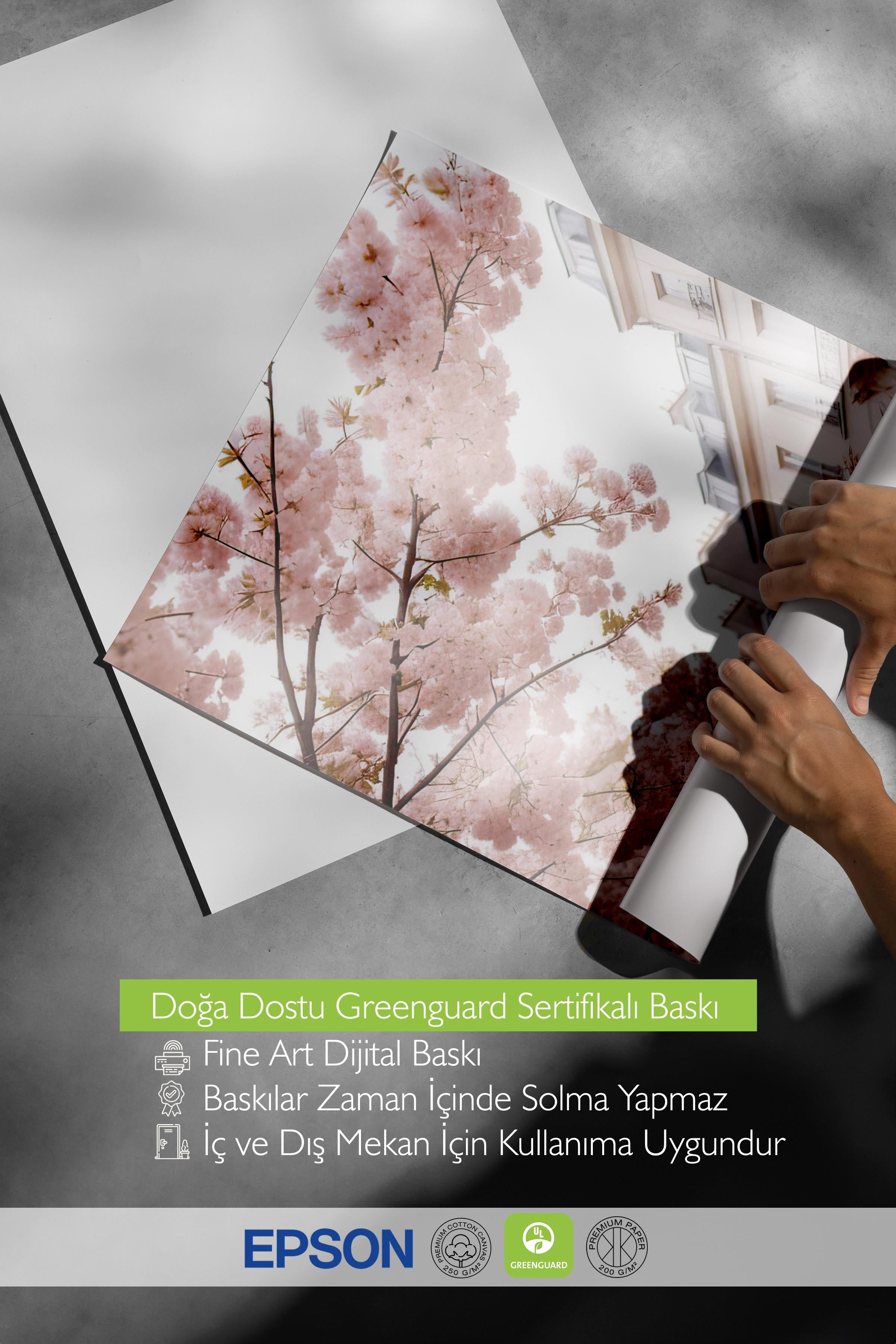 Cherry Branches Poster, Çerçevesiz Duvar Posteri, Dkey Duvar Tablosu Comfort Serisi NO:108367