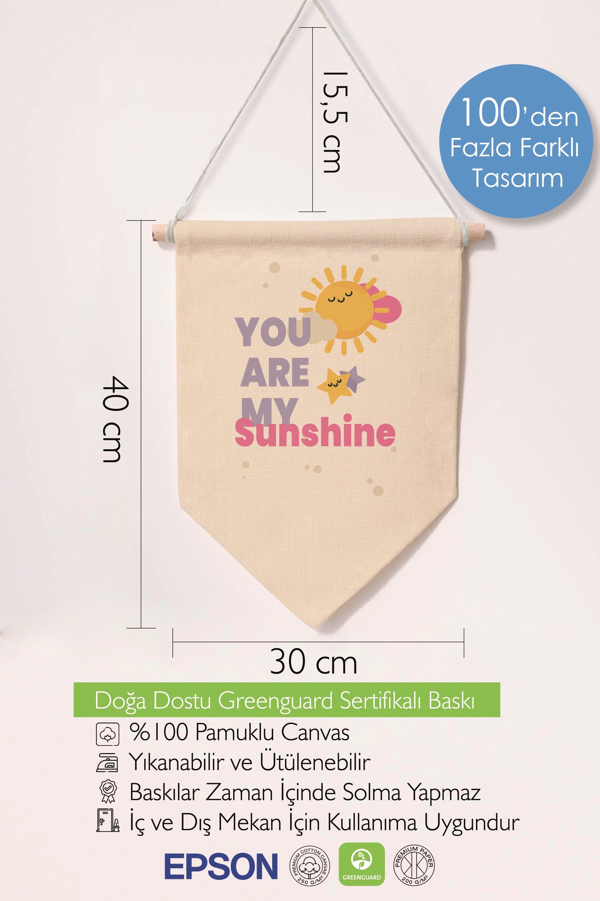 Çocuk Odası Dekor, Duvar Süsü, Ahşap Bebek Odası Dekor, Canvas Flama, You are My Sunshine - Renkli