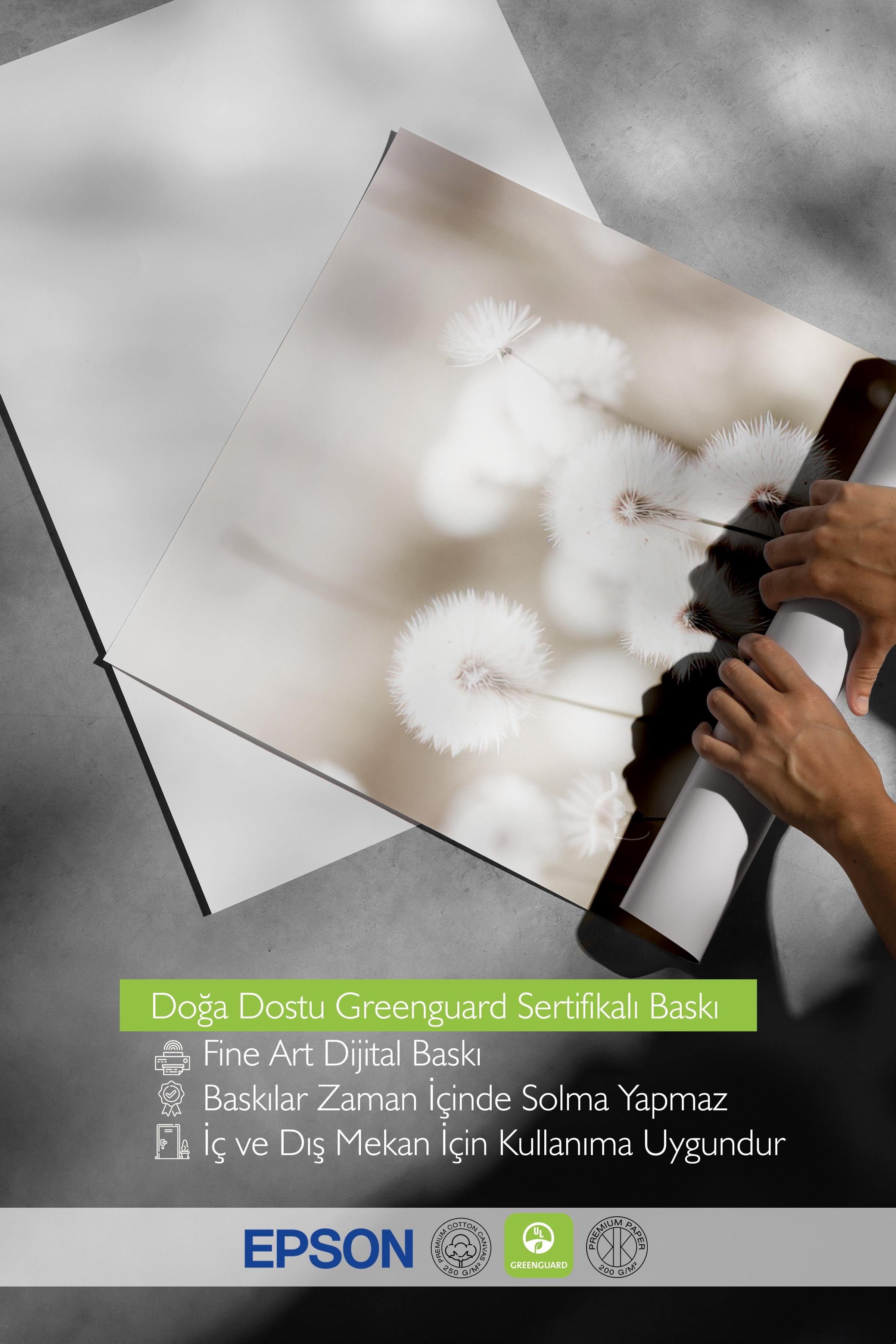 Cottongrass Poster, Çerçevesiz Duvar Posteri, Dikey Duvar Tablosu Comfort Serisi NO:108310