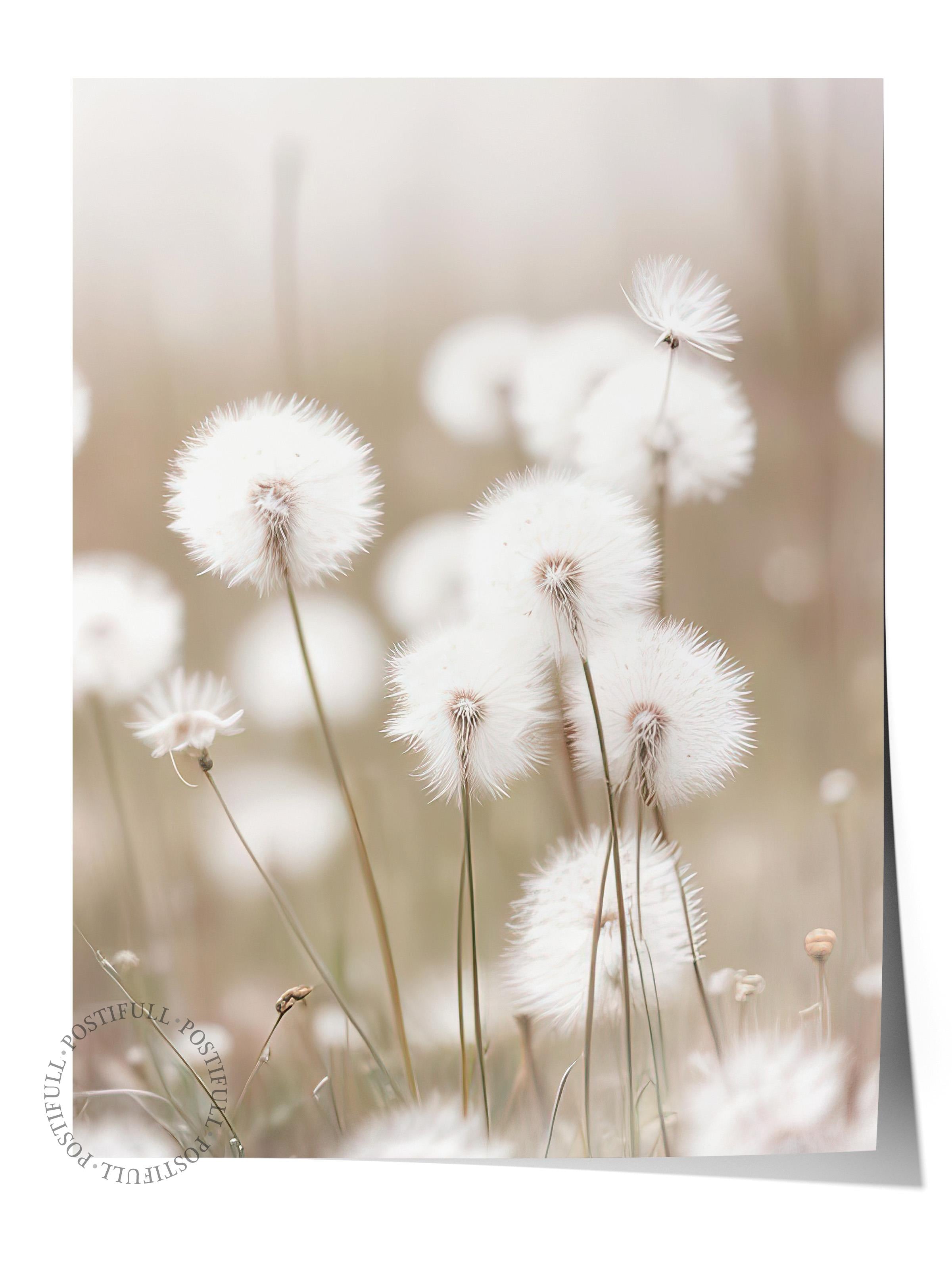 Cottongrass Poster, Çerçevesiz Duvar Posteri, Dikey Duvar Tablosu Comfort Serisi NO:108310