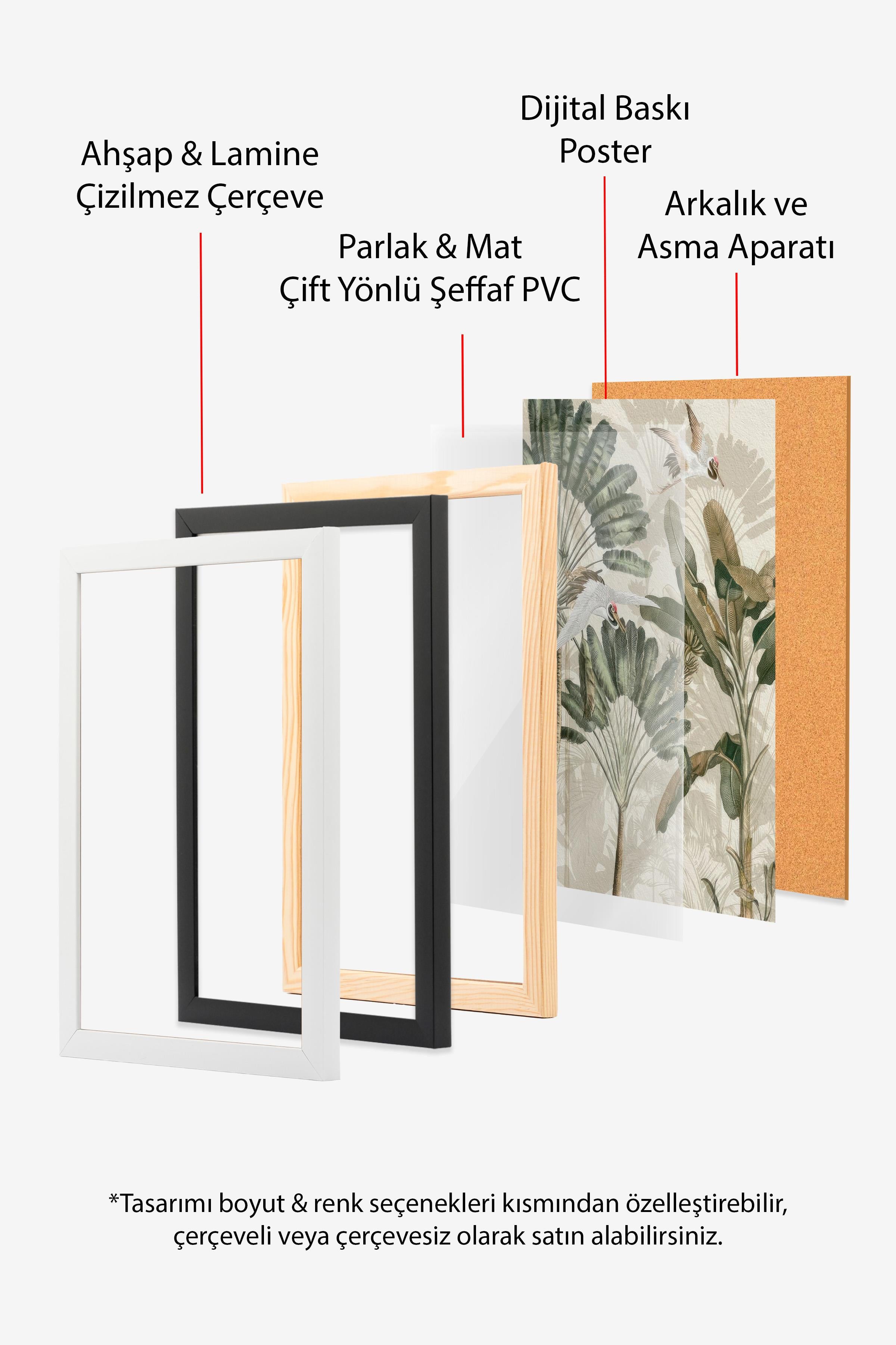 Cranes in the Rainforest Siyah Çerçeveli Tablo, Duvar Tablosu Comfort Serisi NO:108499