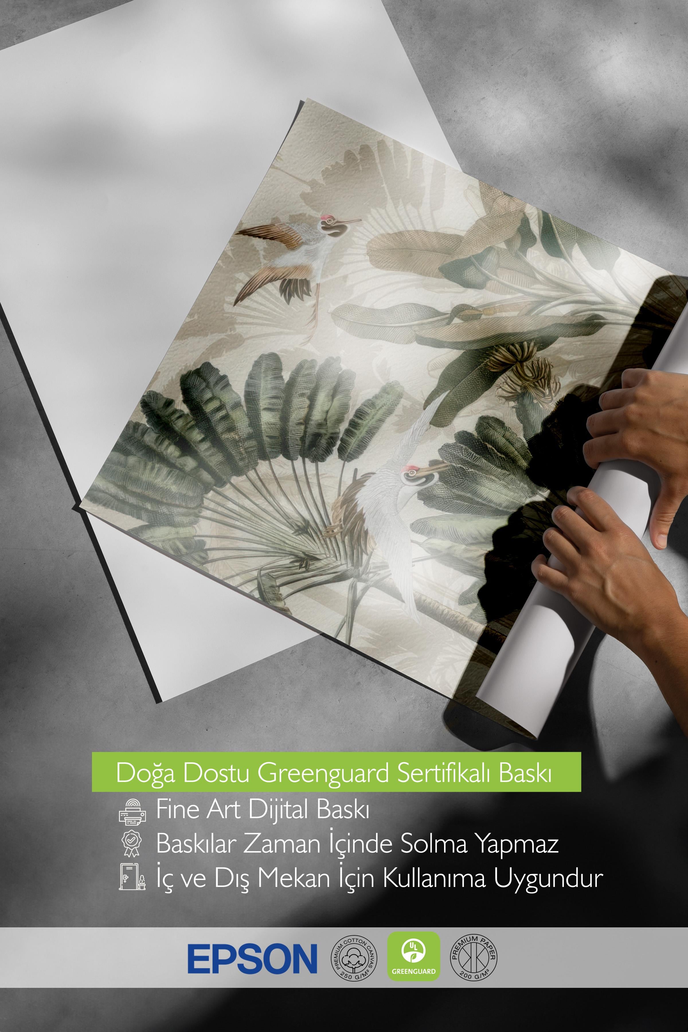 Cranes in the Rainforest Poster, Dikey Duvar Tablosu Comfort Serisi NO:108499