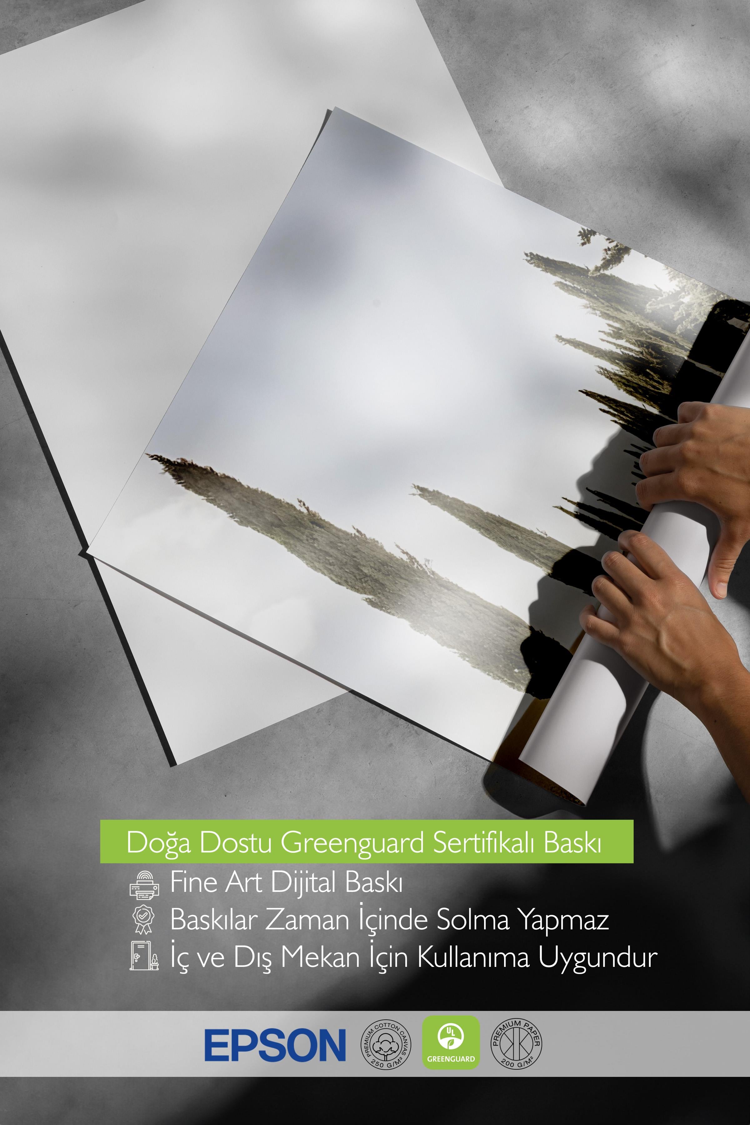 Cypress Tree Alley Poster, Çerçevesiz Duvar Posteri, Dikey Duvar Tablosu Comfort Serisi NO:108323