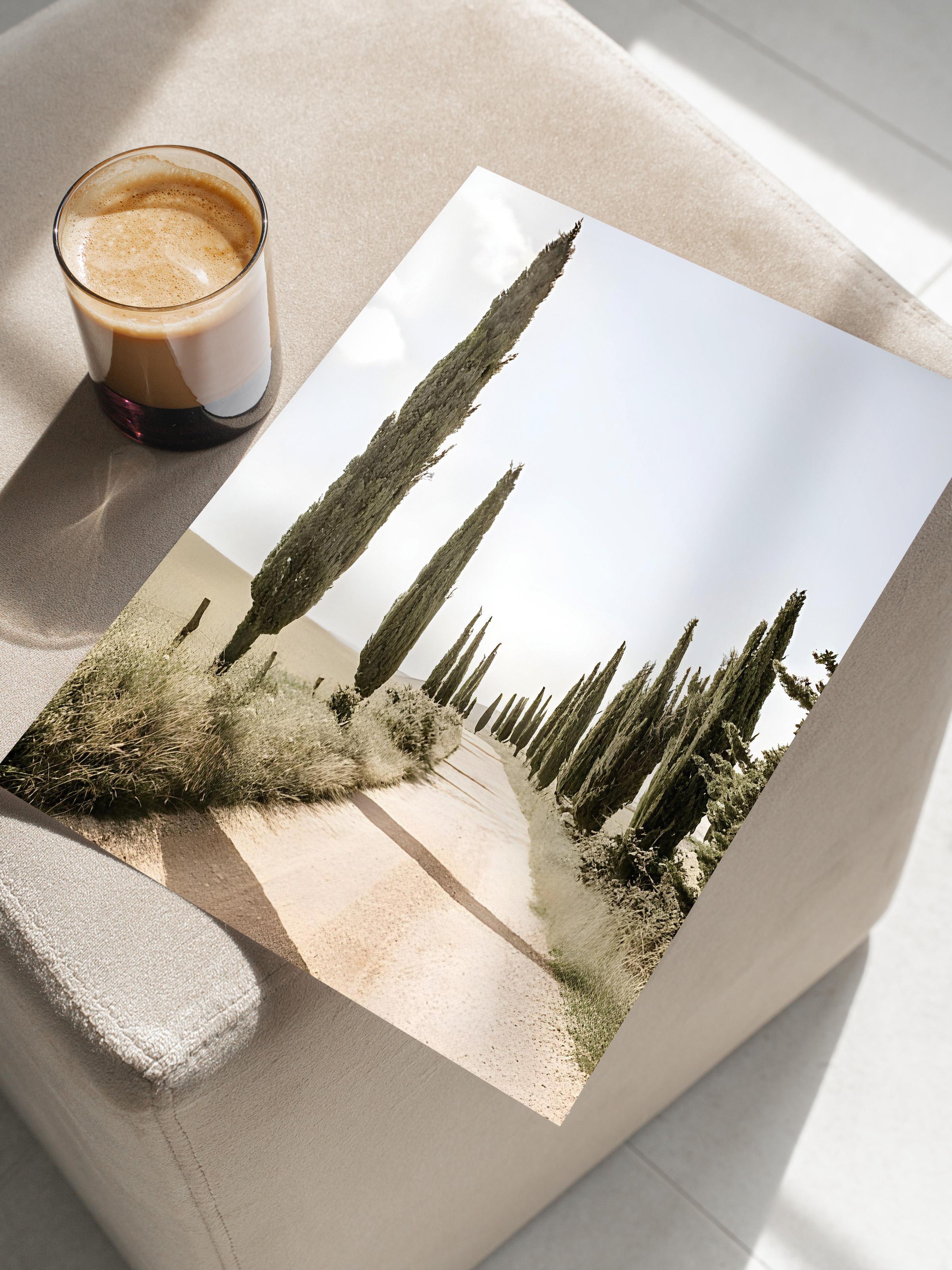 Cypress Tree Alley Poster, Çerçevesiz Duvar Posteri, Dikey Duvar Tablosu Comfort Serisi NO:108323