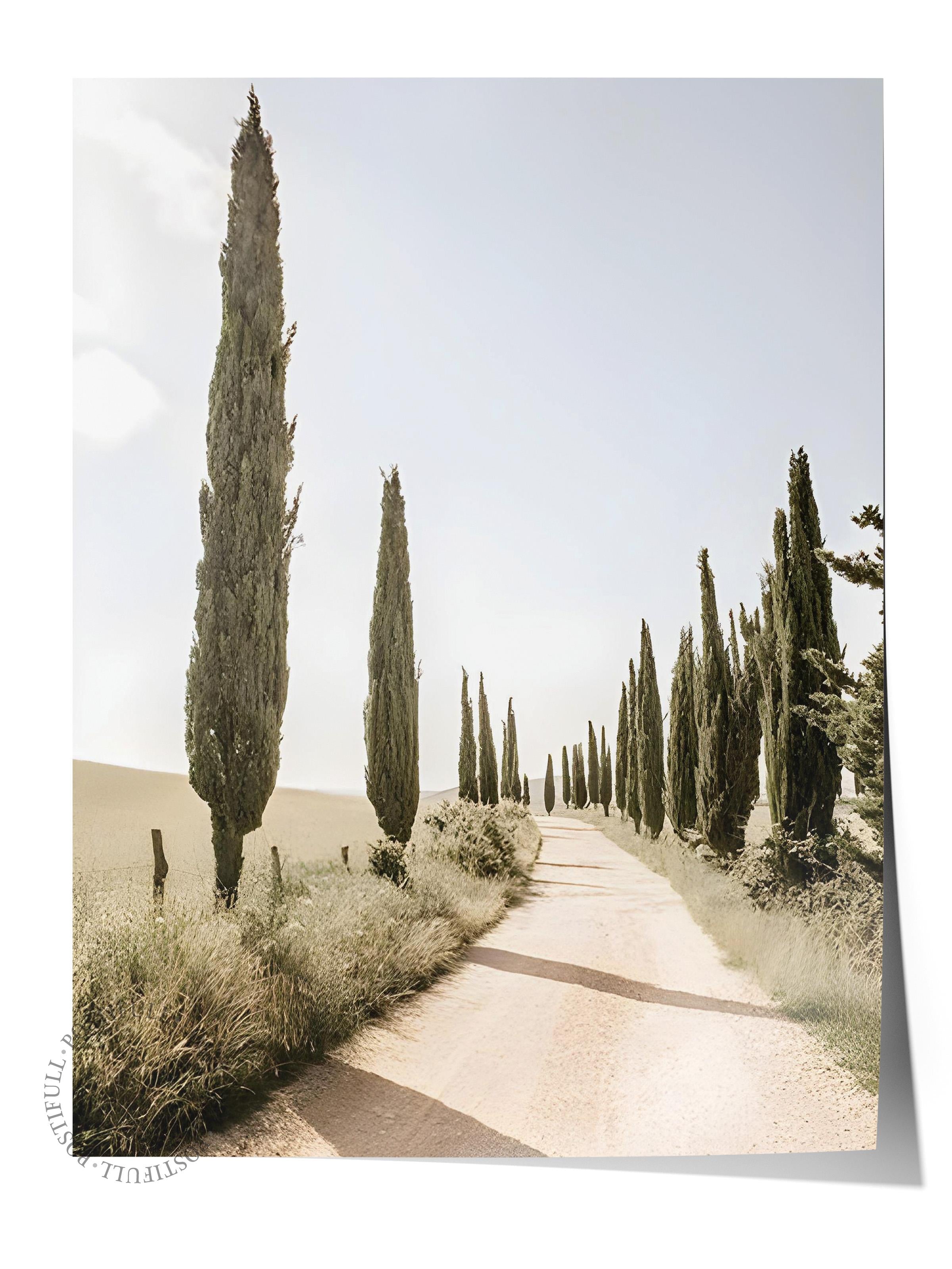 Cypress Tree Alley Poster, Çerçevesiz Duvar Posteri, Dikey Duvar Tablosu Comfort Serisi NO:108323