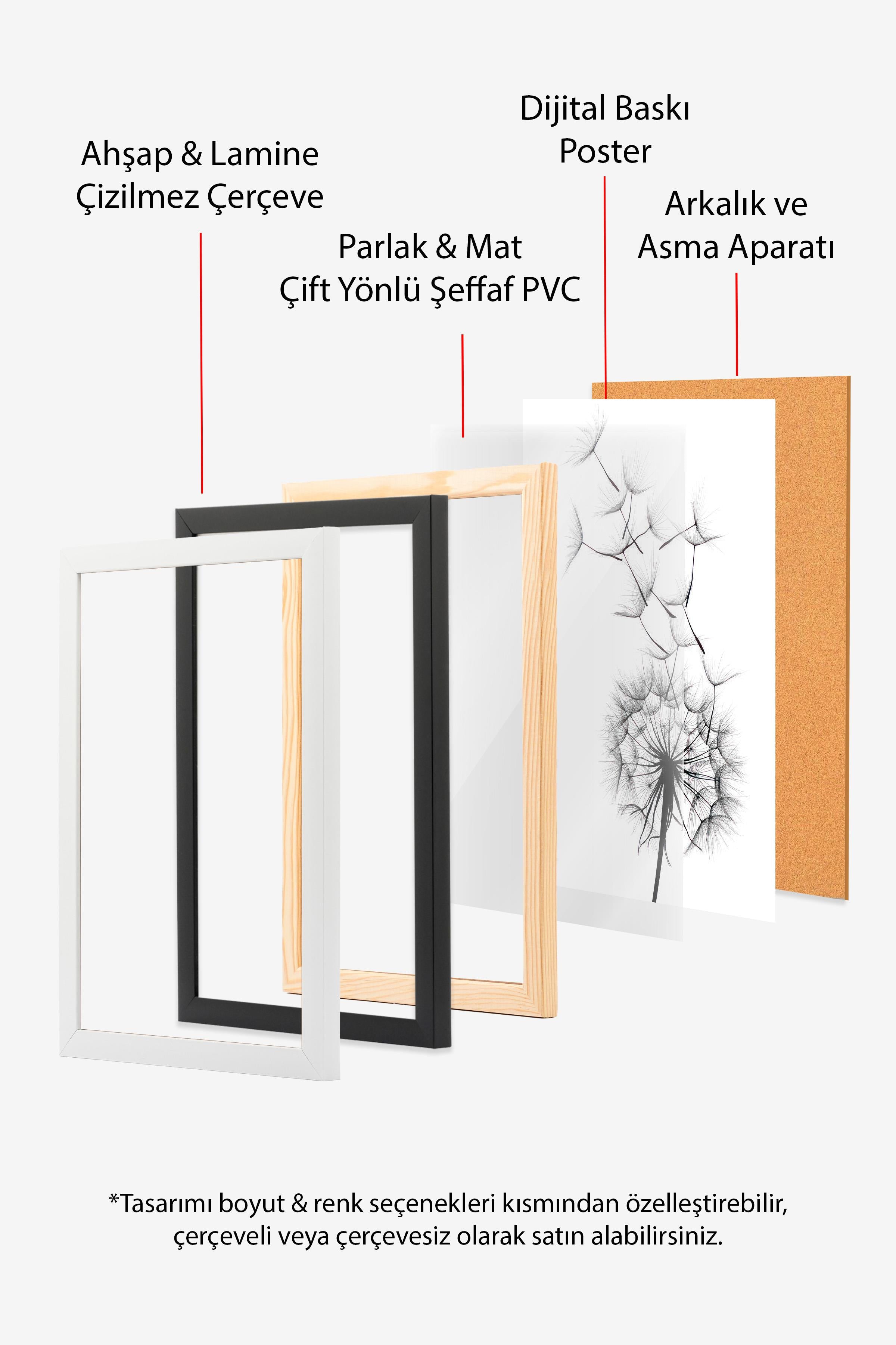 Dandelion wish Çerçeveli Tablo, Beyaz Çerçeve ve Poster, Duvar Tablosu Comfort Serisi NO:108520
