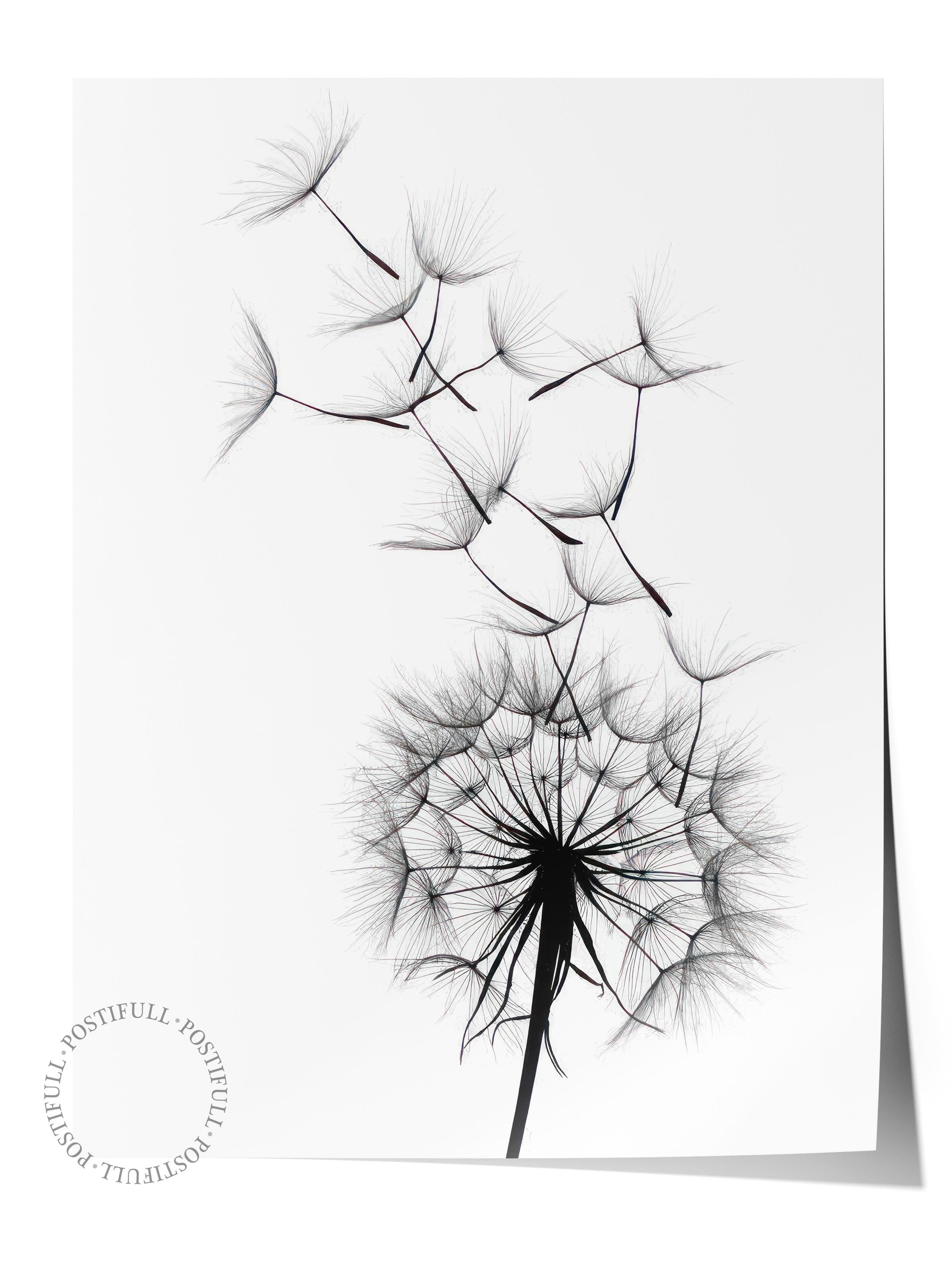 Dandelion wish Poster, Çerçevesiz Duvar Posteri, Dikey Duvar Tablosu Comfort Serisi NO:108520