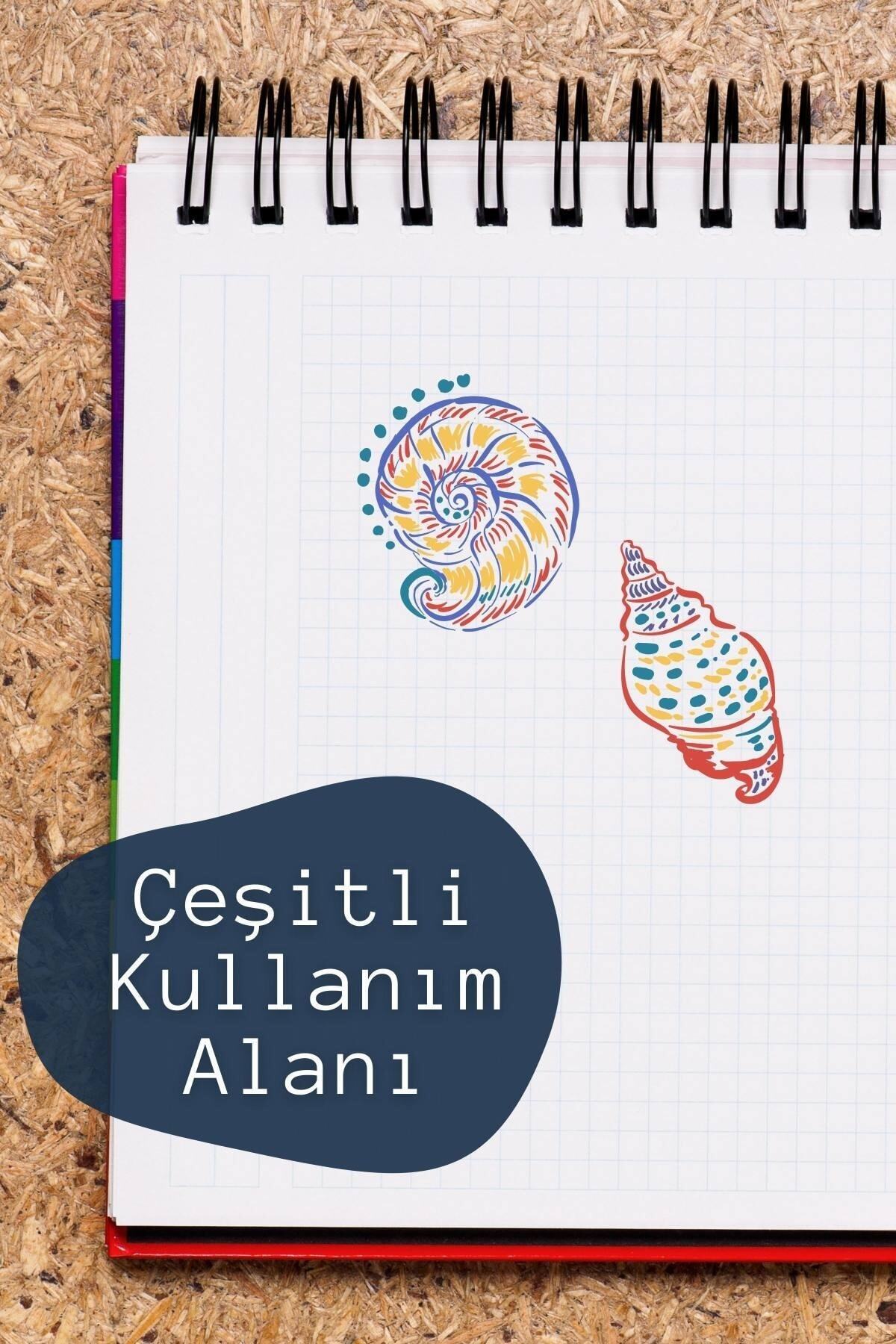 Deniz Kabukları Temalı Sticker Seti - 11 Adet Etiket Seti- Telefon, Tablet, Defter Laptop Uyumlu