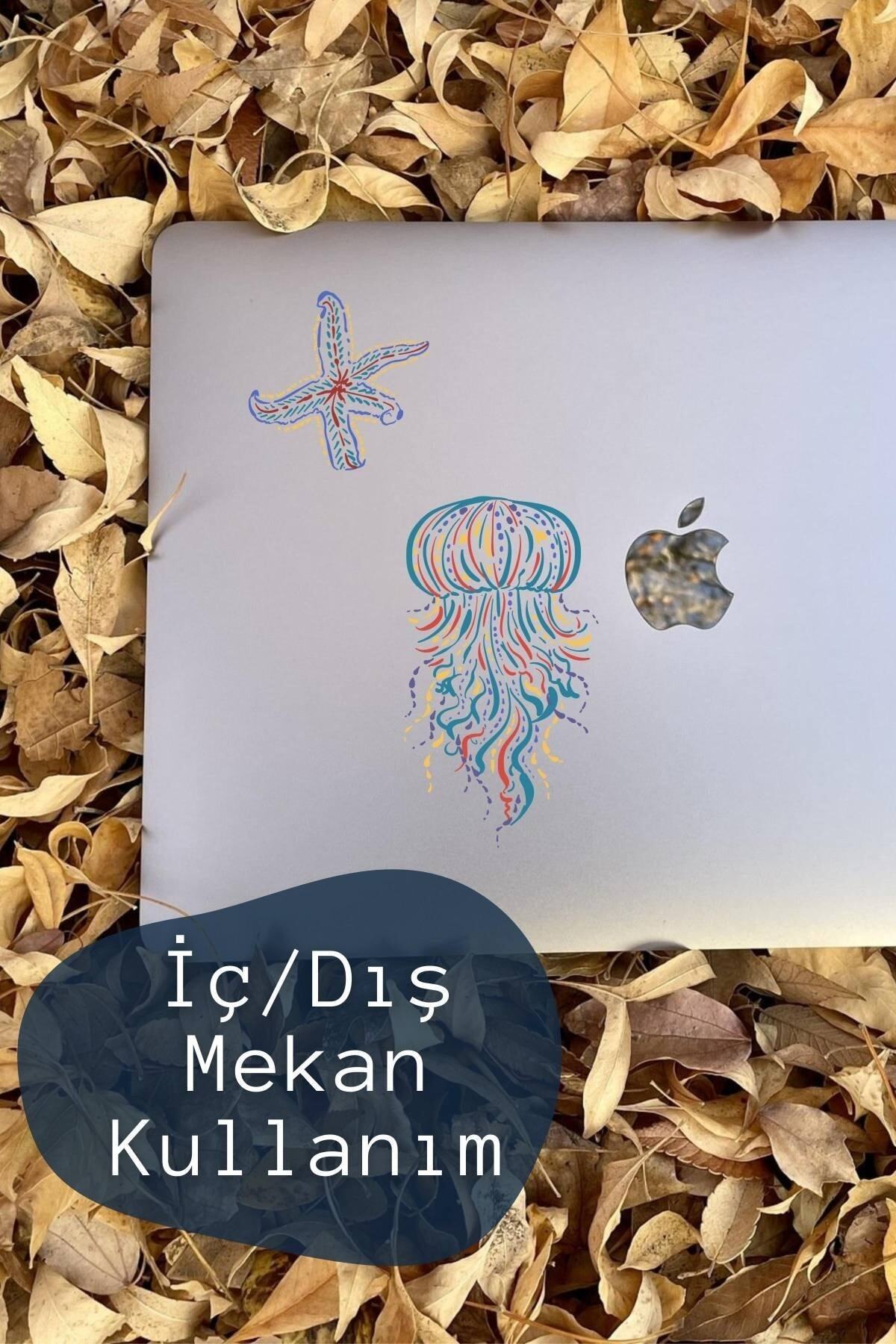 Deniz Kabukları Temalı Sticker Seti - 11 Adet Etiket Seti- Telefon, Tablet, Defter Laptop Uyumlu