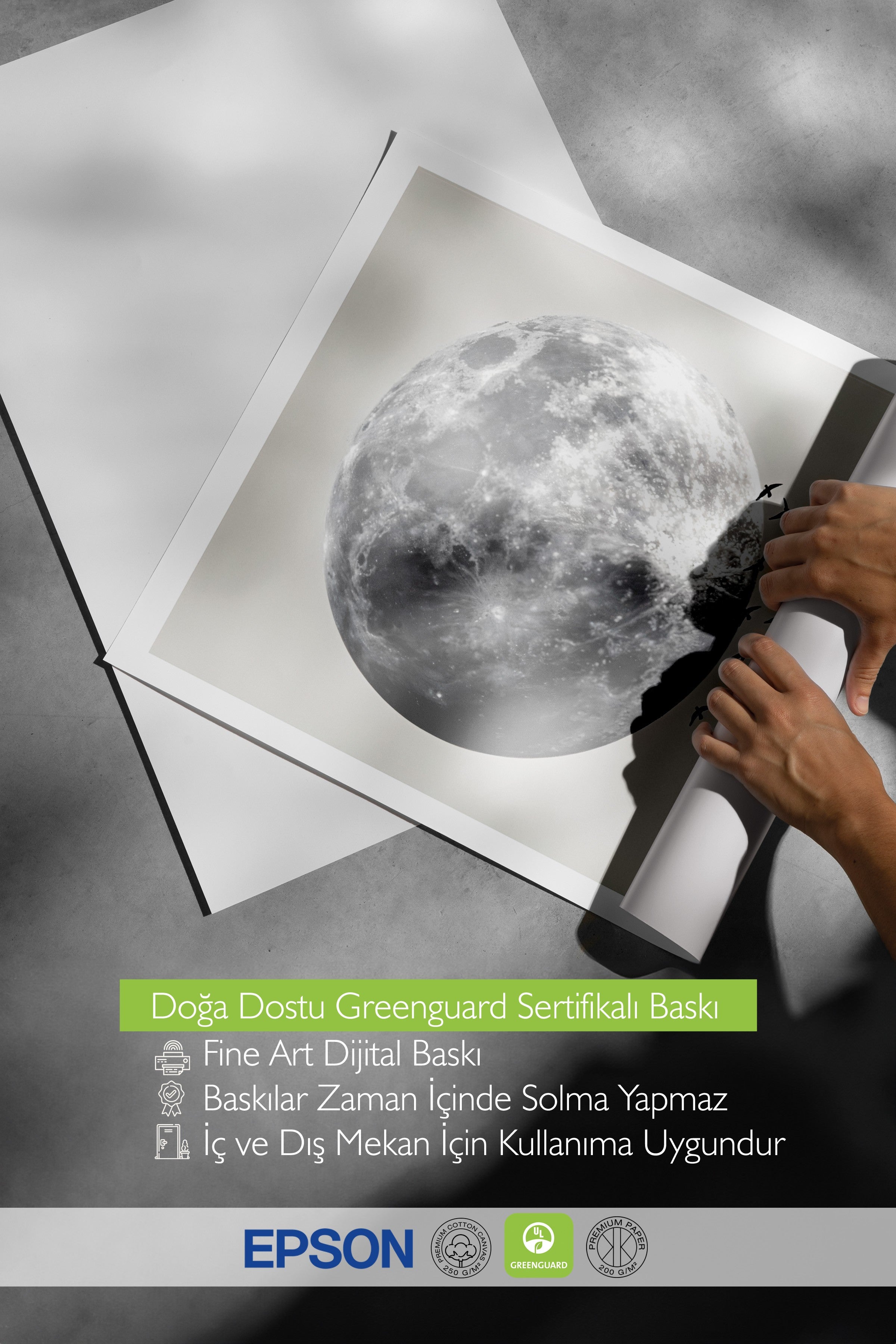 Duvar Posteri, Çerçevesiz Poster, Sanatsal Baskı, Ritüel Serisi, Kuş Tablo, NO:115210