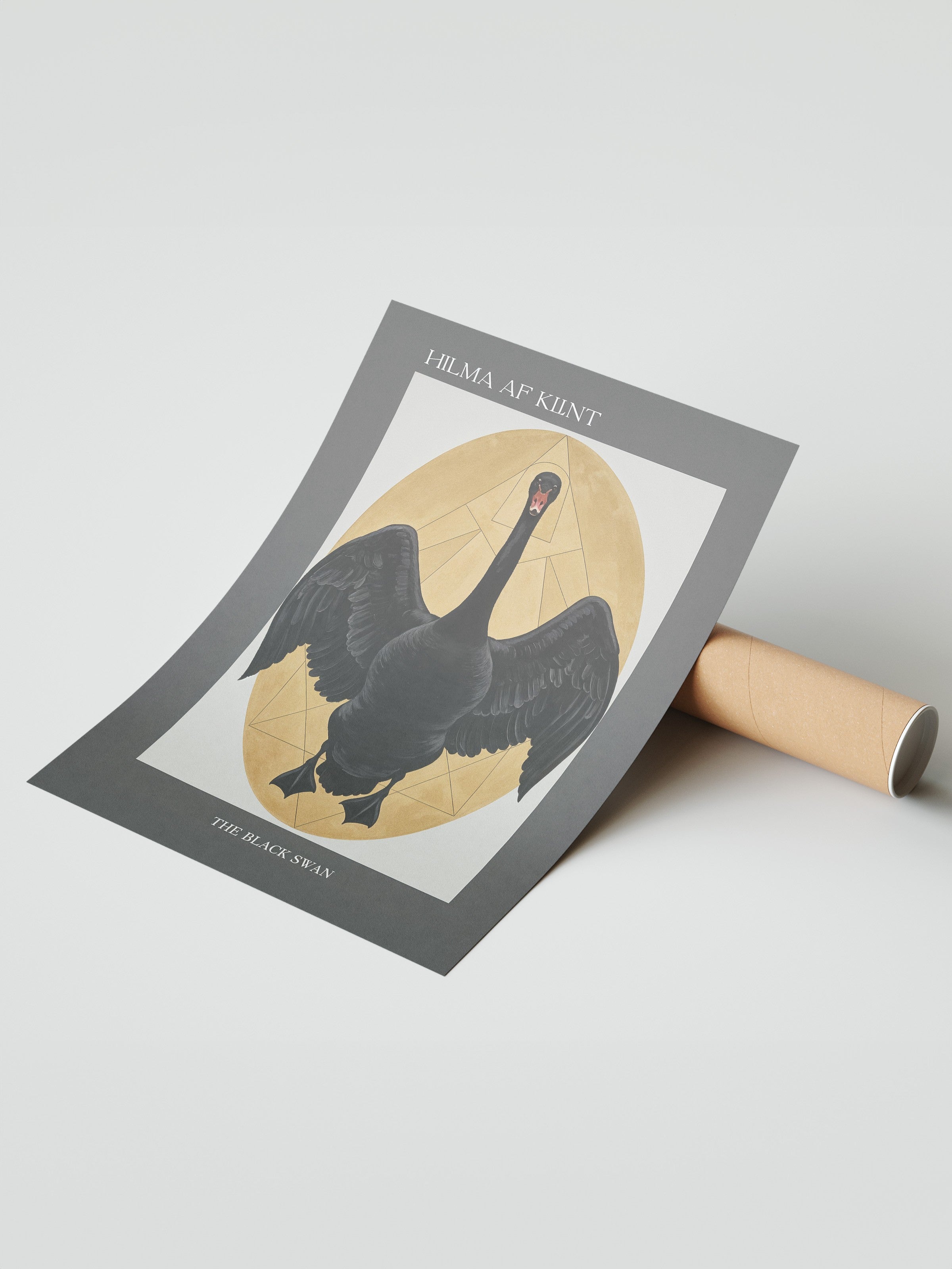 Duvar Posteri, Çerçevesiz Poster, Sanatsal Baskı, Ritüel Serisi, Kuş Tablo, NO:115216