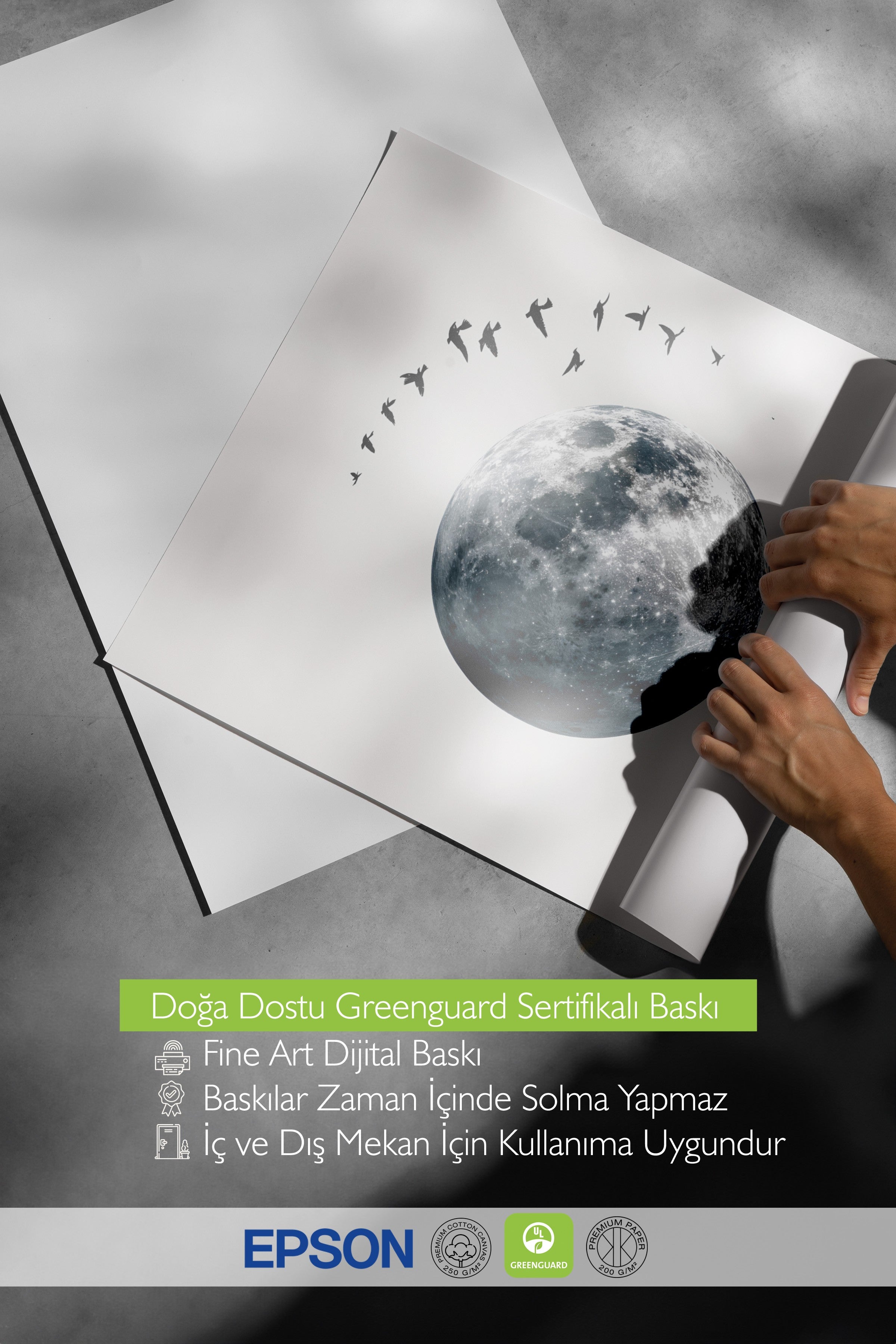 Duvar Posteri, Çerçevesiz Poster, Sanatsal Baskı, Ritüel Serisi, Kuş Tablo, NO:115227