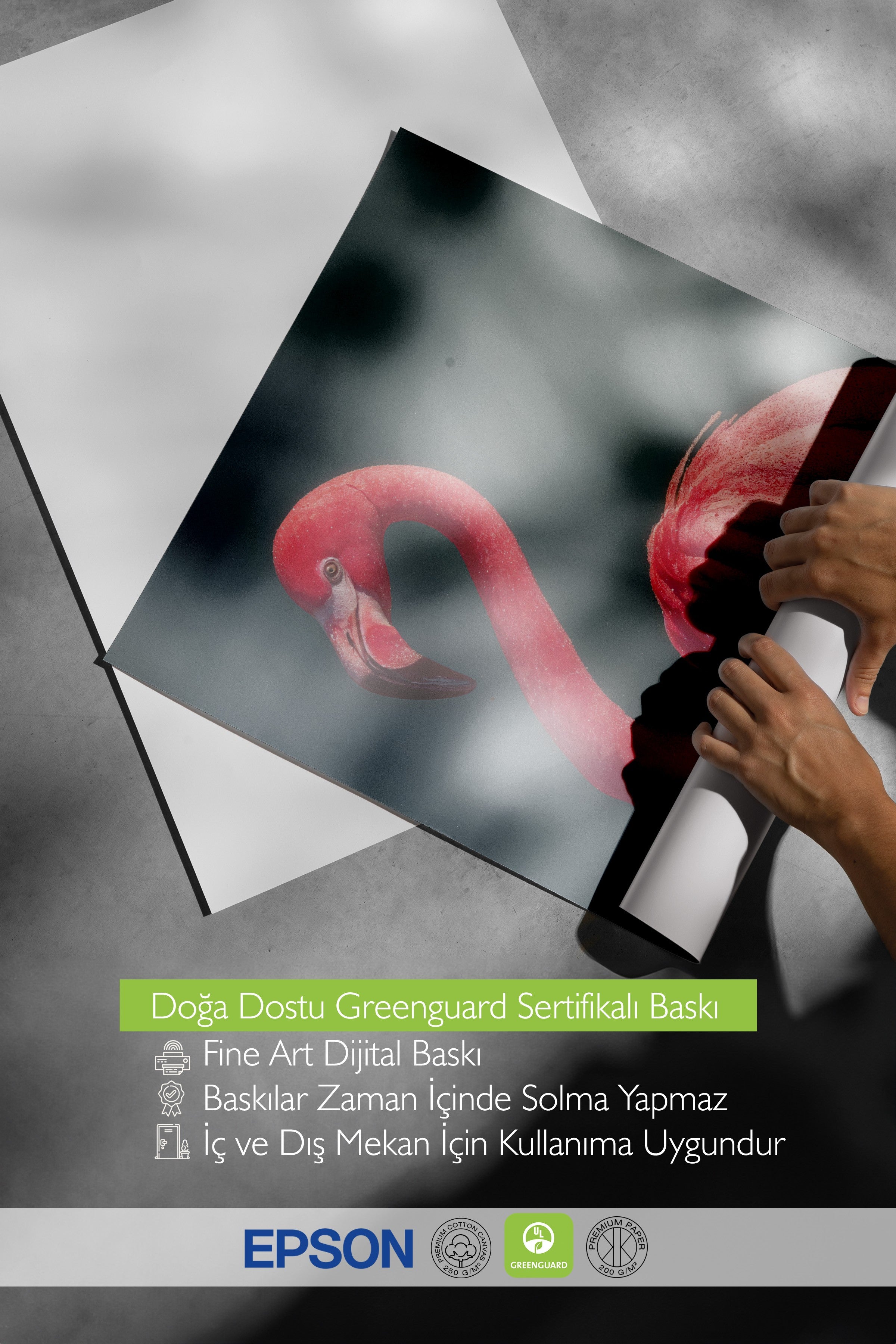 Duvar Posteri, Çerçevesiz Poster, Sanatsal Baskı, Ritüel Serisi, Kuş Tablo, NO:115228