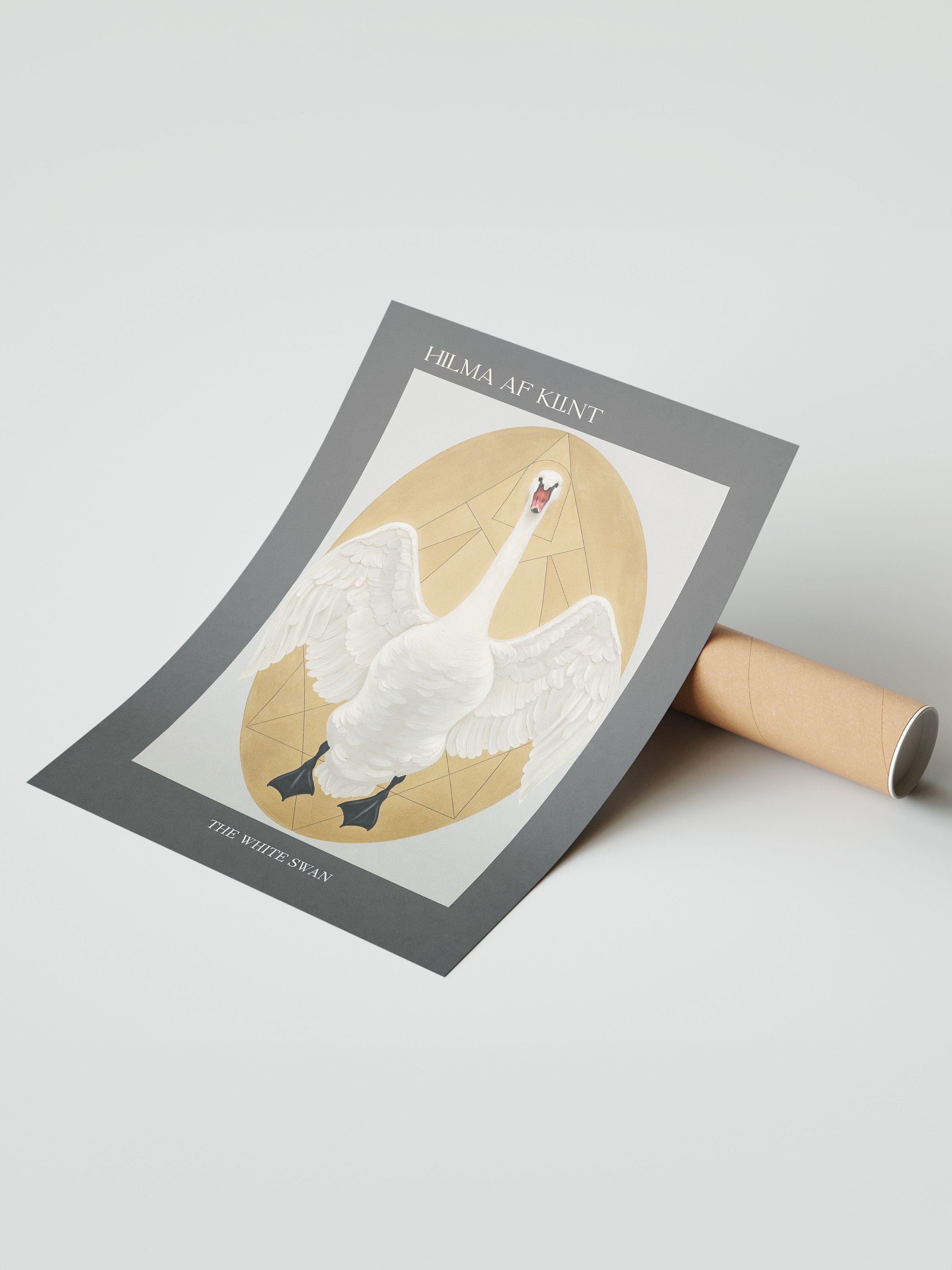 Duvar Posteri, Çerçevesiz Poster, Sanatsal Baskı, Ritüel Serisi, Kuş Tablo, NO:115230