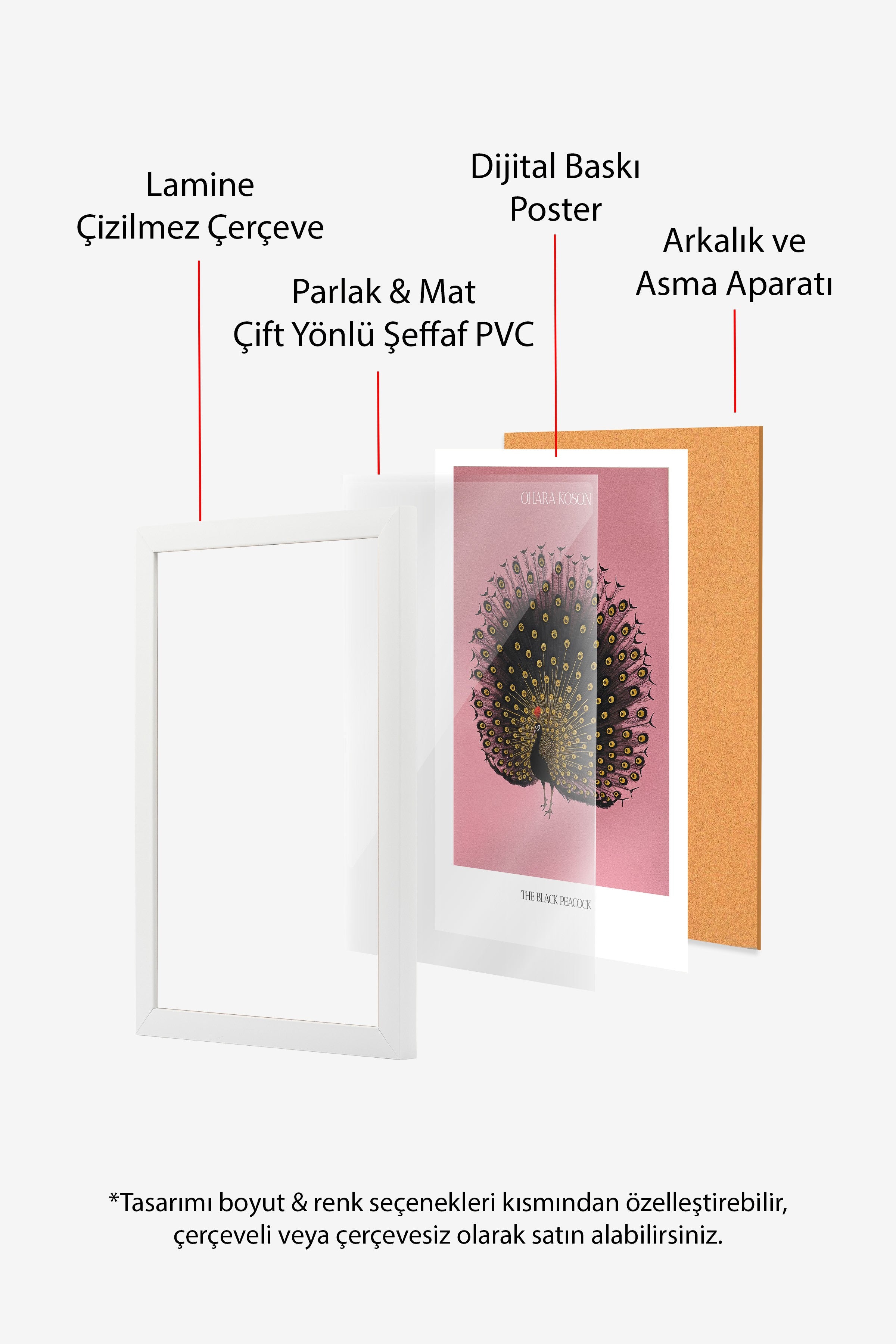 Duvar Tablosu, Beyaz Çerçeveli Tablo ve Poster, Ritüel Serisi, Kuş Tablo, NO:115214