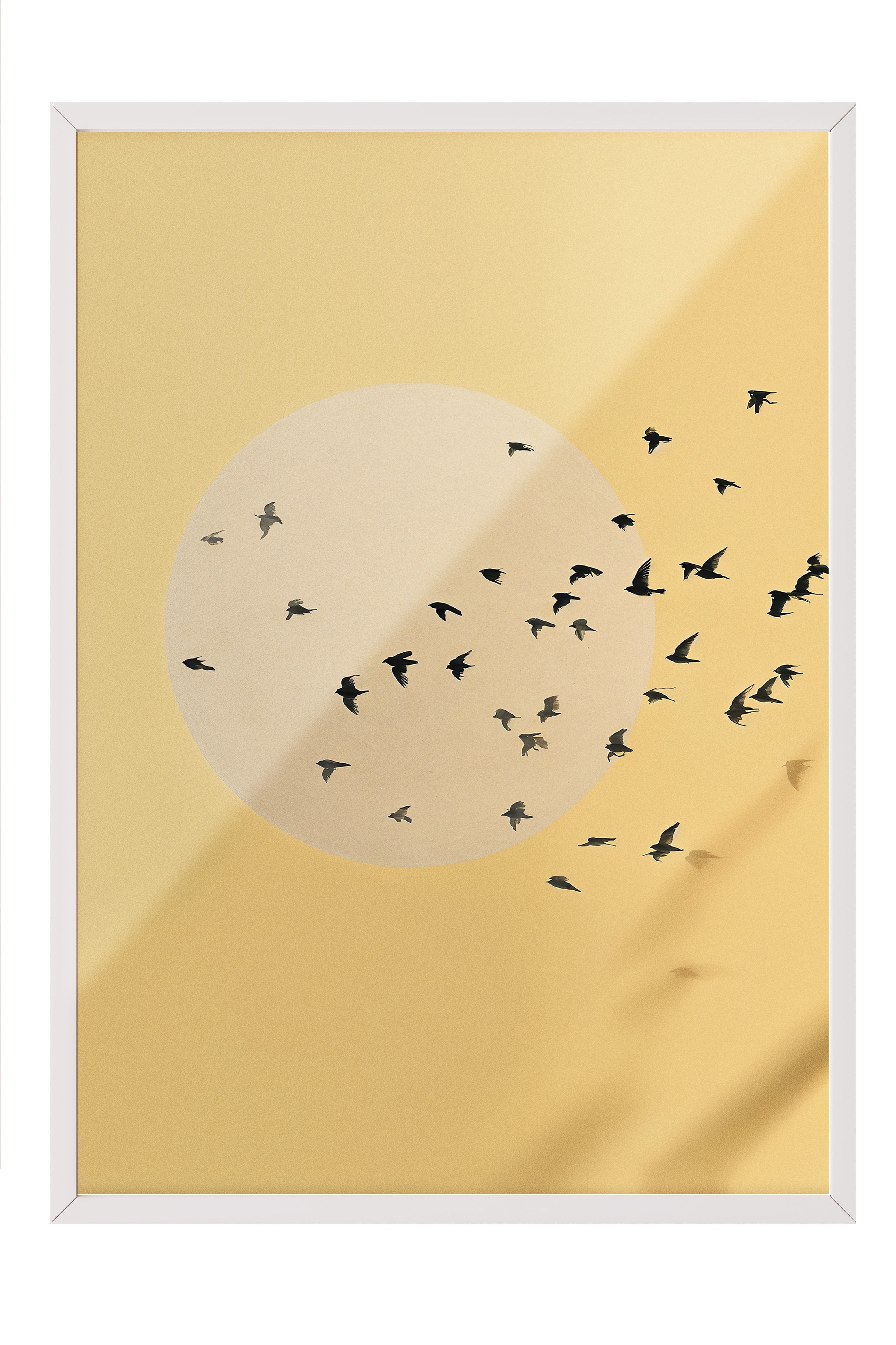 Duvar Tablosu, Beyaz Çerçeveli Tablo ve Poster, Ritüel Serisi, Kuş Tablo, NO:115224