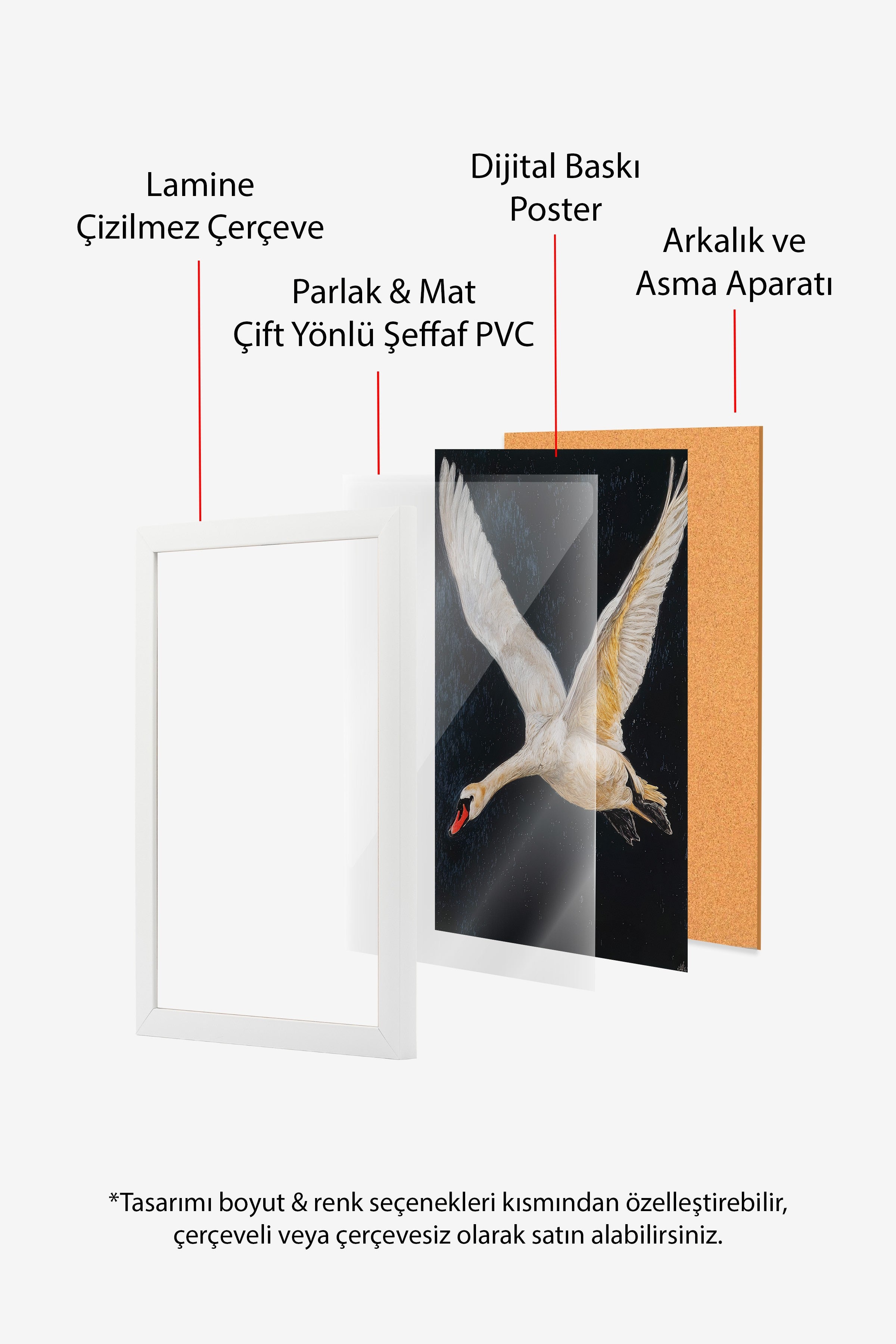 Duvar Tablosu, Beyaz Çerçeveli Tablo ve Poster, Ritüel Serisi, Kuş Tablo, NO:115246