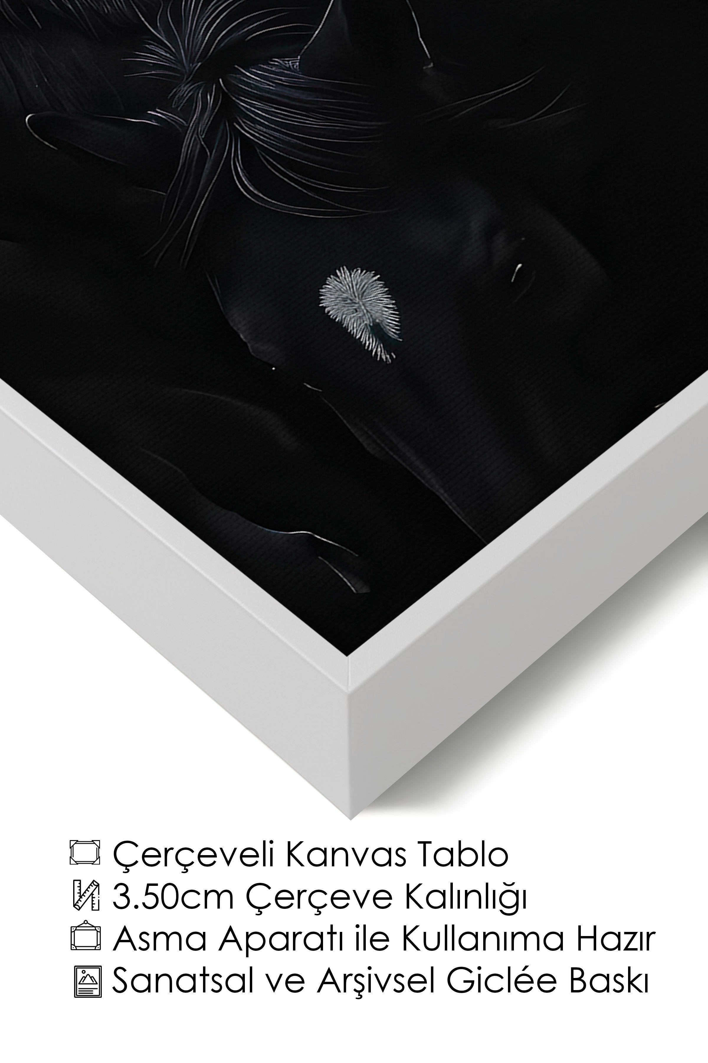 Duvar Tablosu, Lüks Beyaz Çerçeveli Kanvas Tablo, Ritüel Serisi, At Tablo, NO:115190