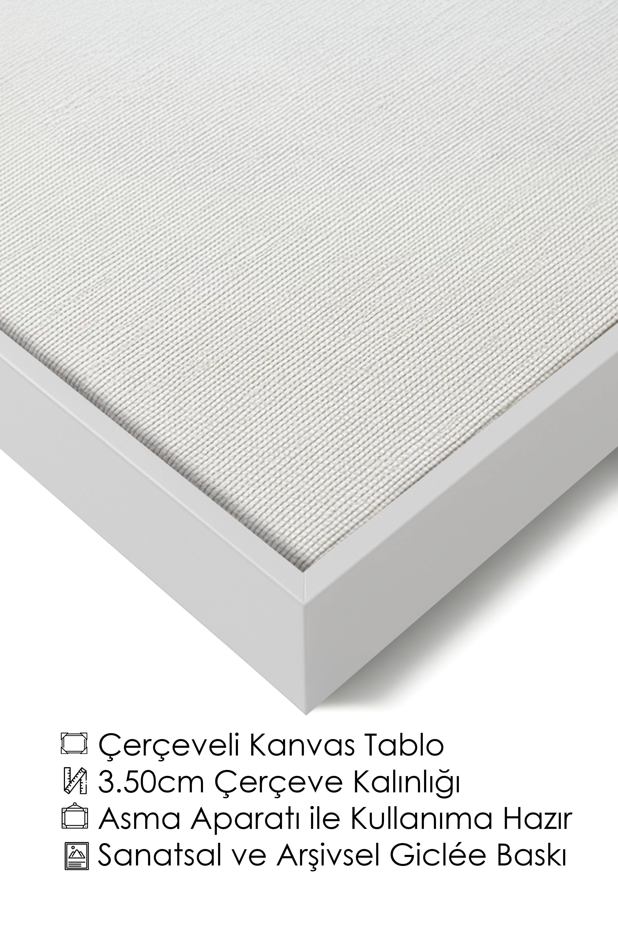 Duvar Tablosu, Lüks Beyaz Çerçeveli Kanvas Tablo, Ritüel Serisi, Kuş Tablo, NO:115186