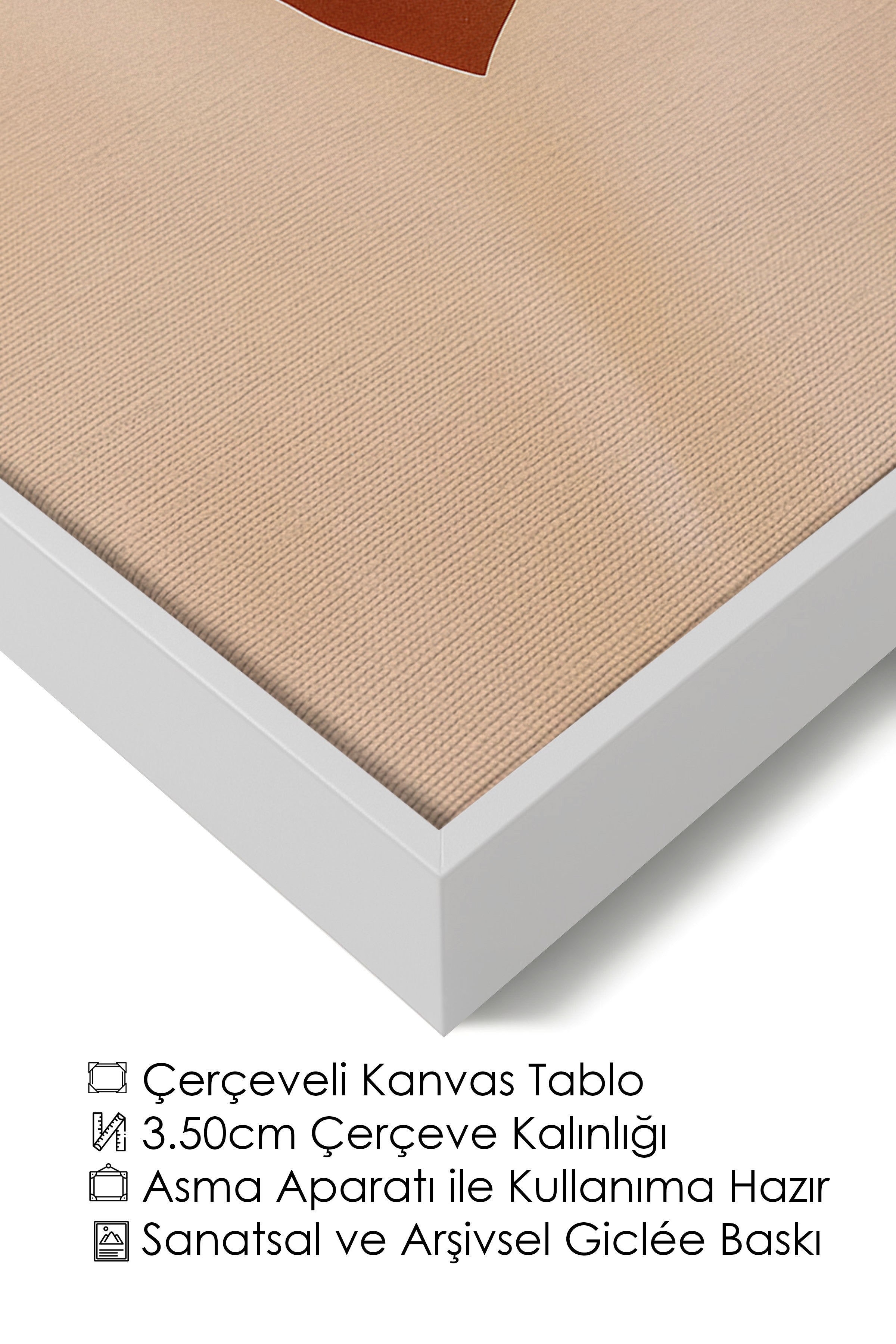 Duvar Tablosu, Lüks Beyaz Çerçeveli Kanvas Tablo, Ritüel Serisi, Kuş Tablo, NO:115188