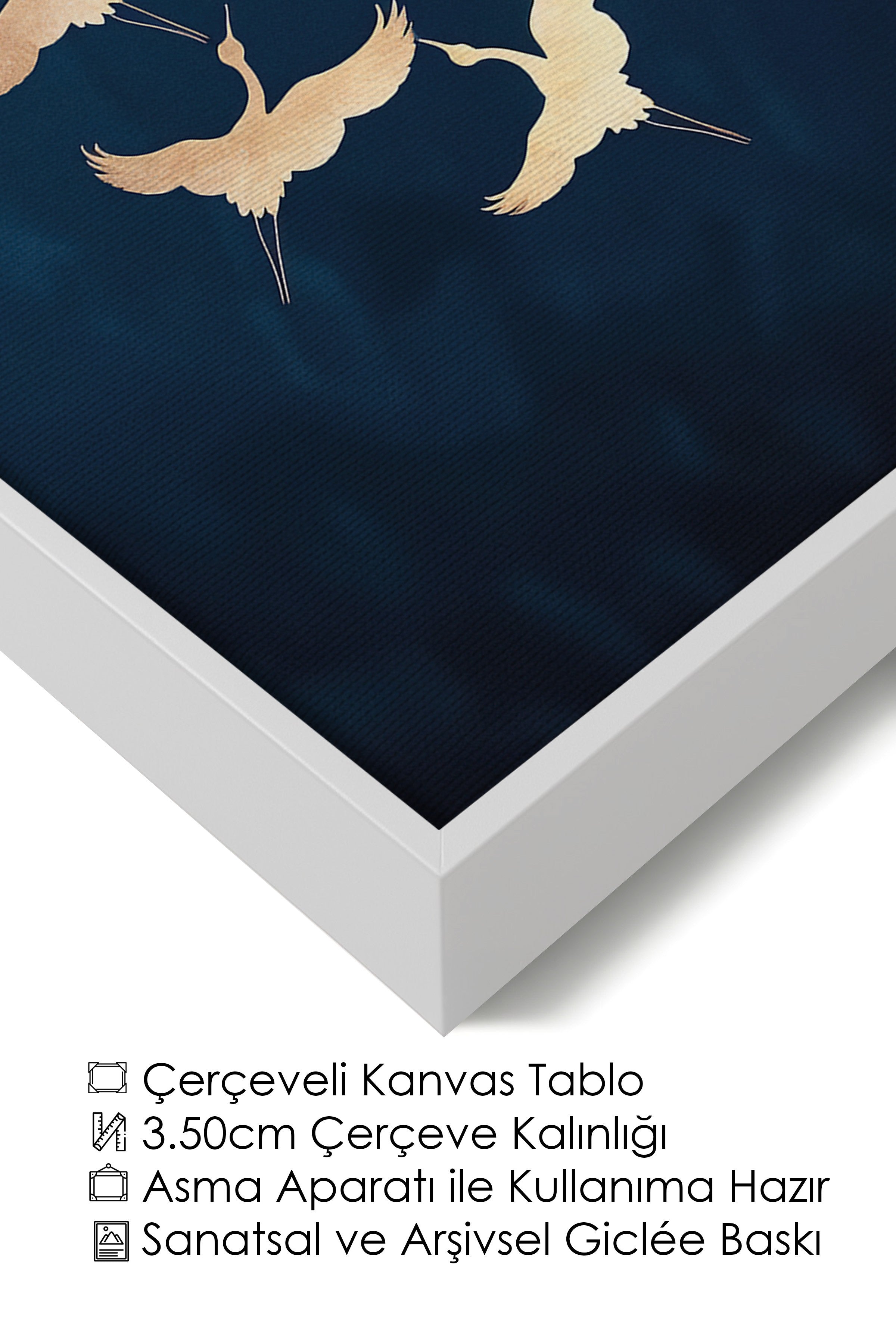 Duvar Tablosu, Lüks Beyaz Çerçeveli Kanvas Tablo, Ritüel Serisi, Kuş Tablo, NO:115200