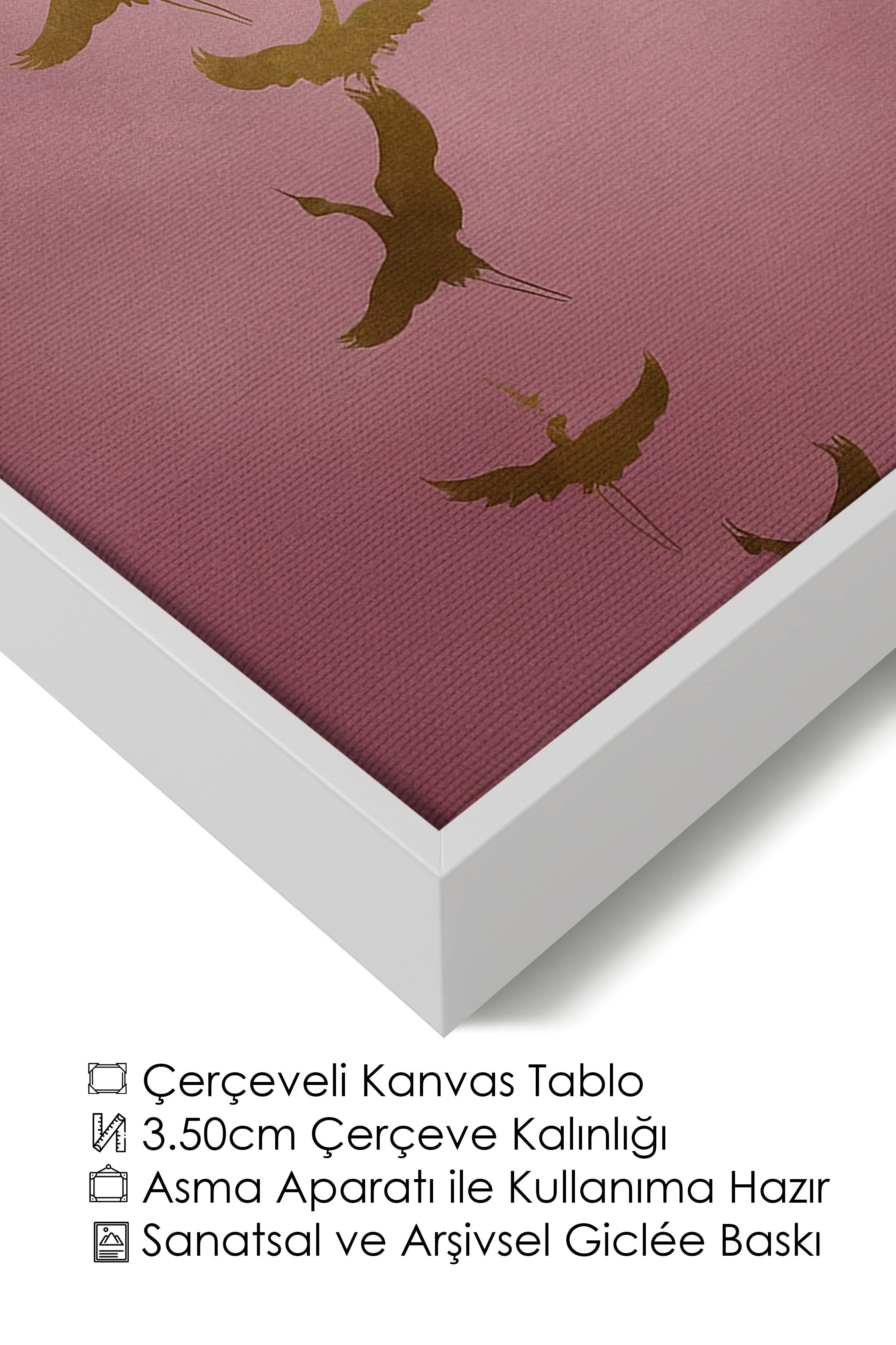 Duvar Tablosu, Lüks Beyaz Çerçeveli Kanvas Tablo, Ritüel Serisi, Kuş Tablo, NO:115206