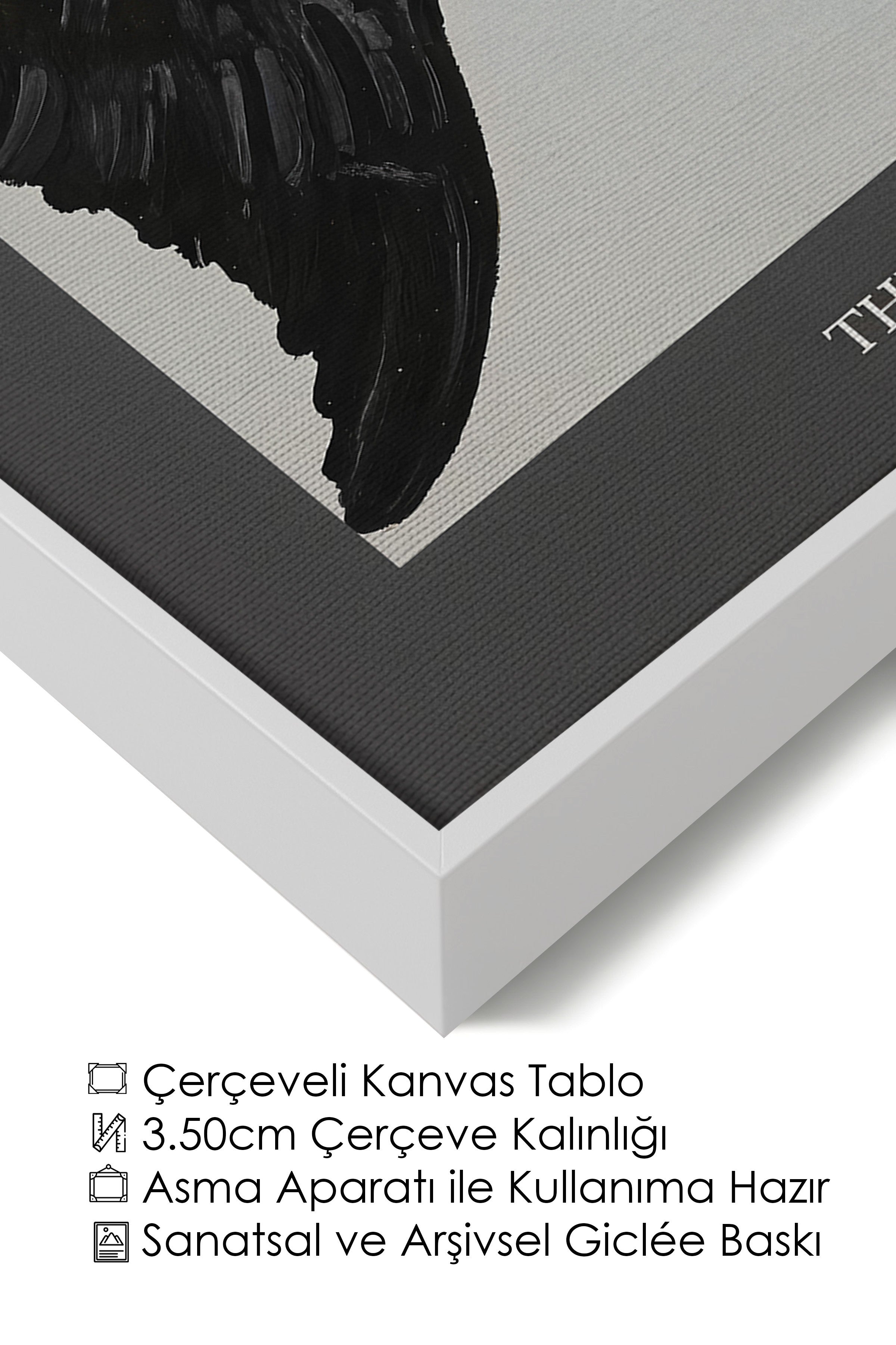 Duvar Tablosu, Lüks Beyaz Çerçeveli Kanvas Tablo, Ritüel Serisi, Kuş Tablo, NO:115208