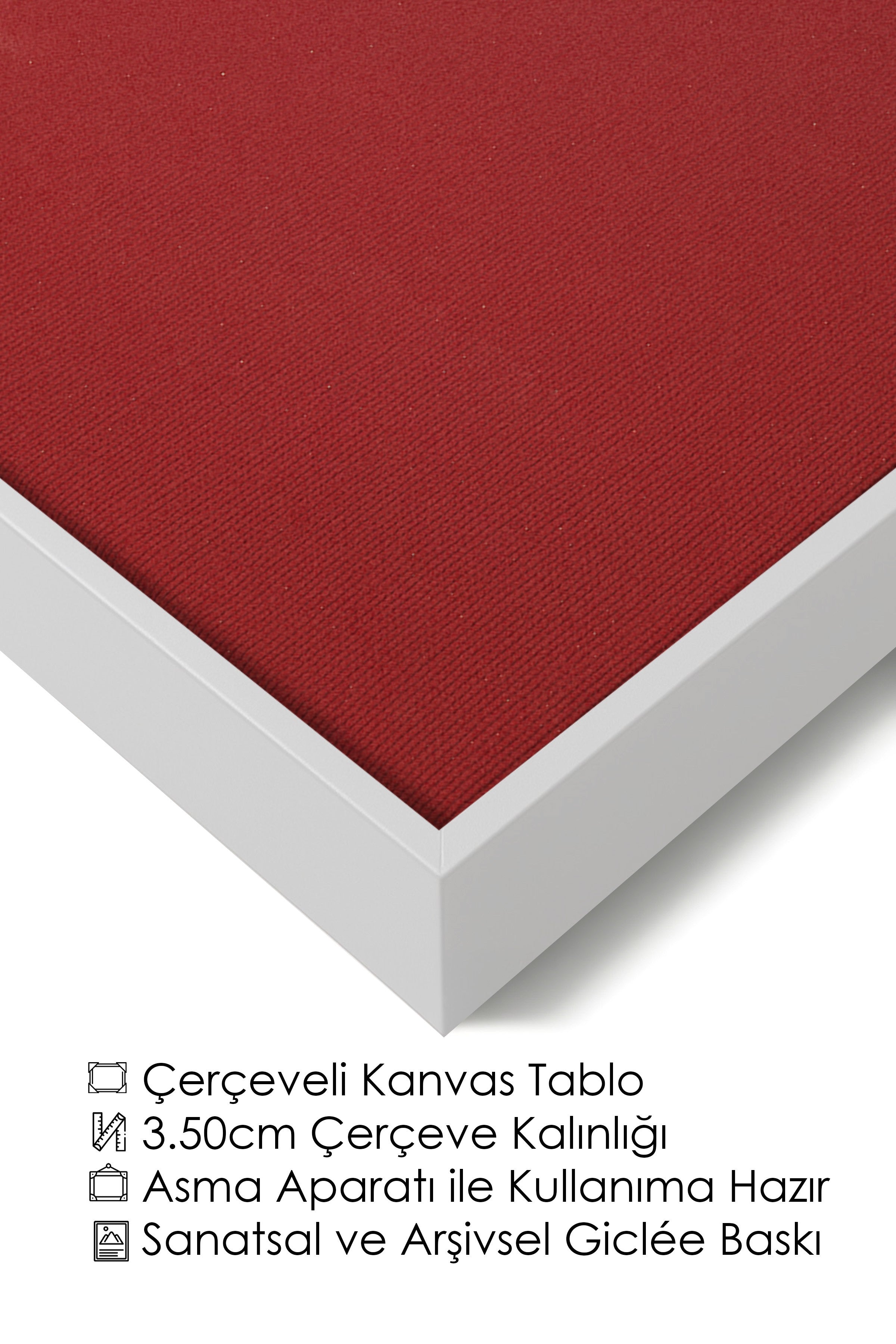 Duvar Tablosu, Lüks Beyaz Çerçeveli Kanvas Tablo, Ritüel Serisi, Kuş Tablo, NO:115209