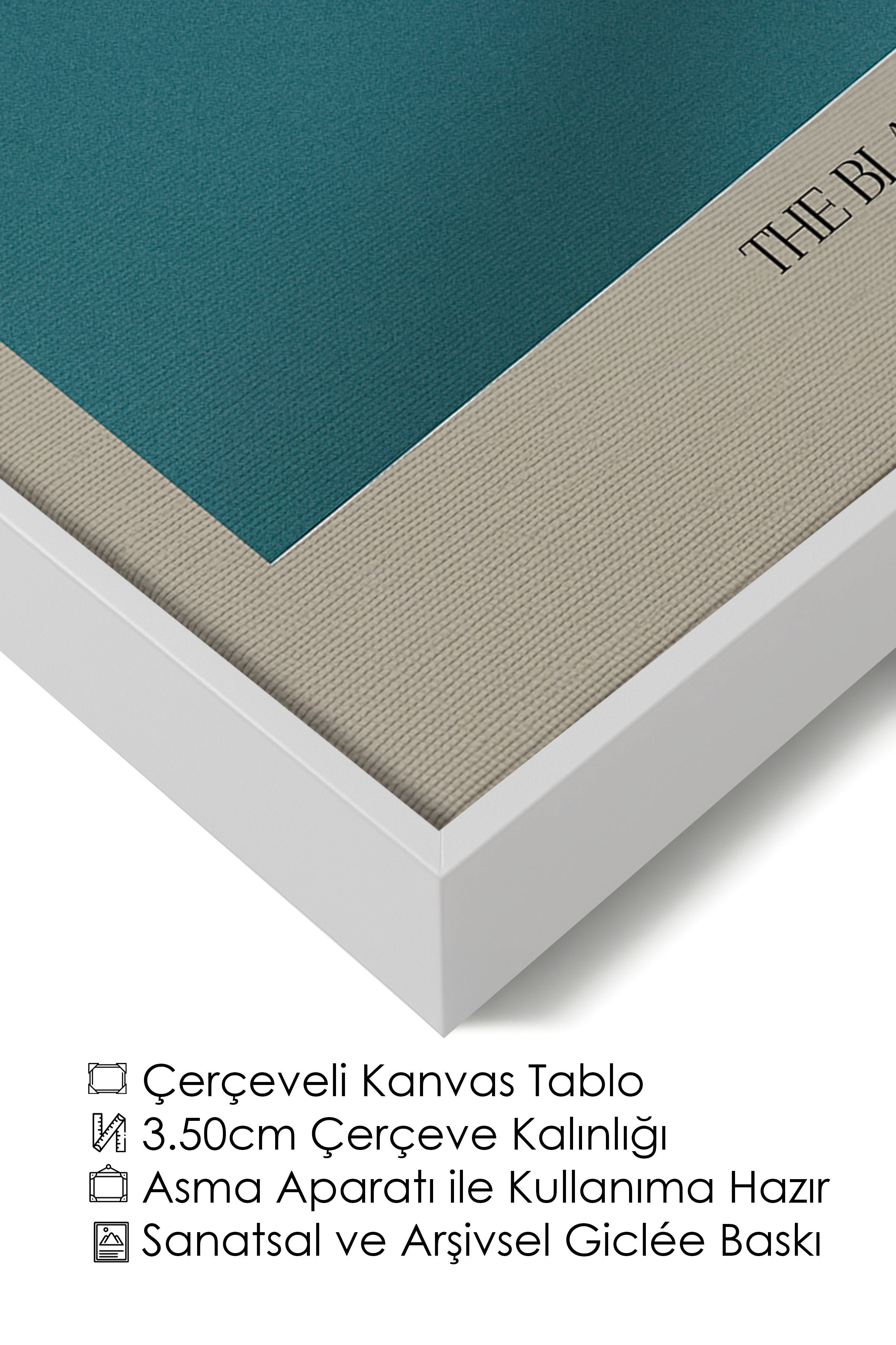 Duvar Tablosu, Lüks Beyaz Çerçeveli Kanvas Tablo, Ritüel Serisi, Kuş Tablo, NO:115211